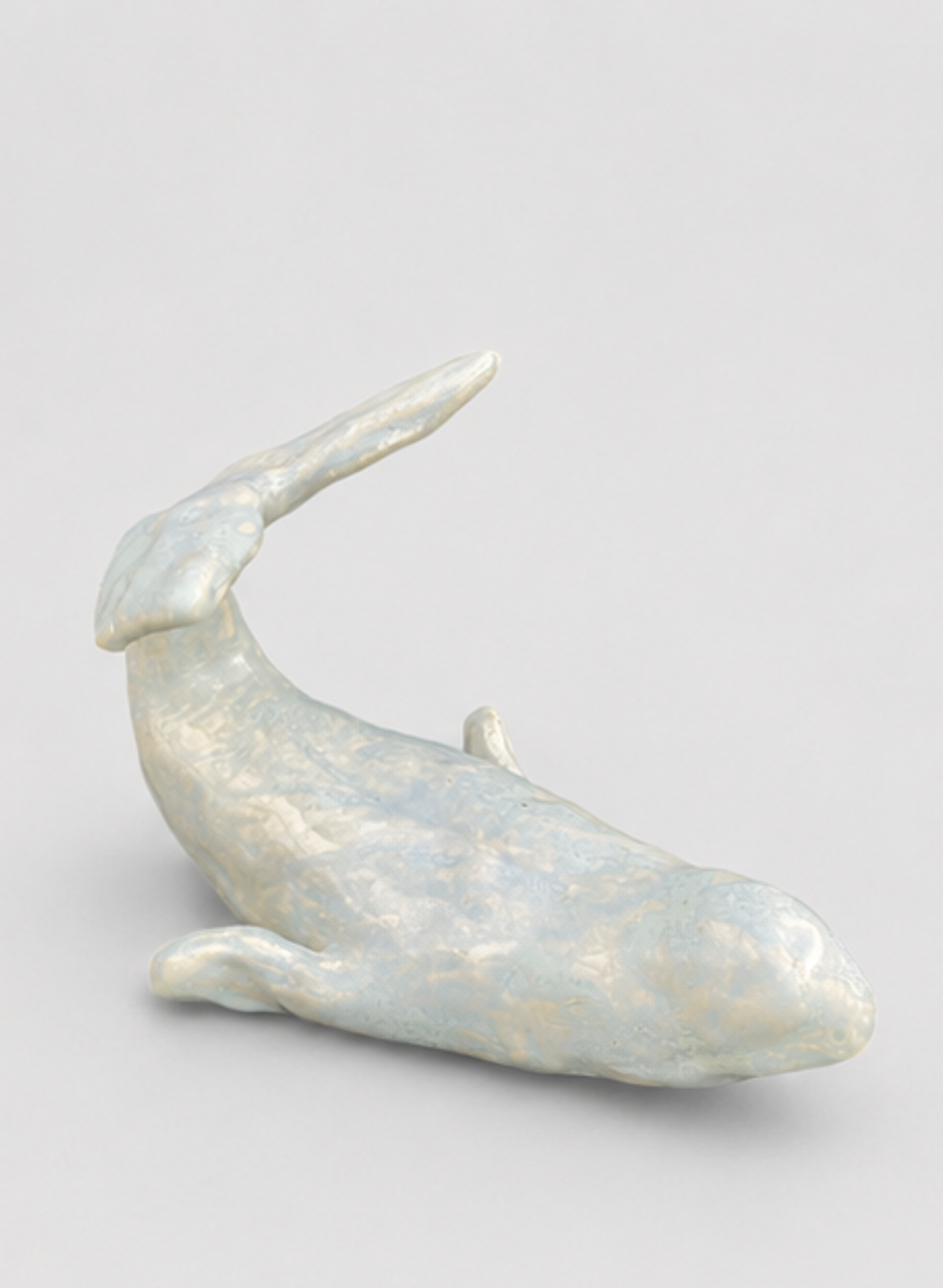 Blue beluga