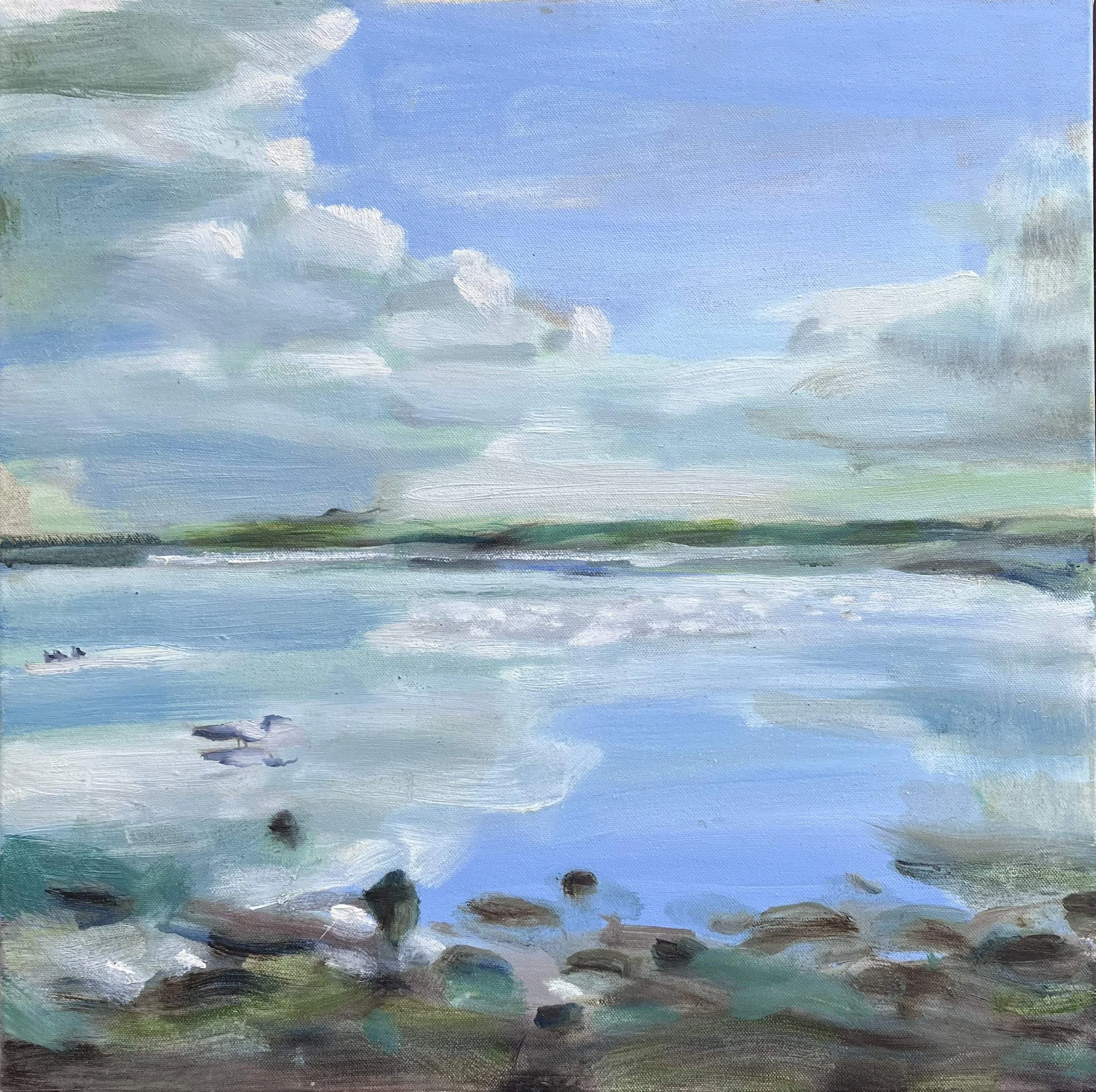 Cloud reflection I Swan bay