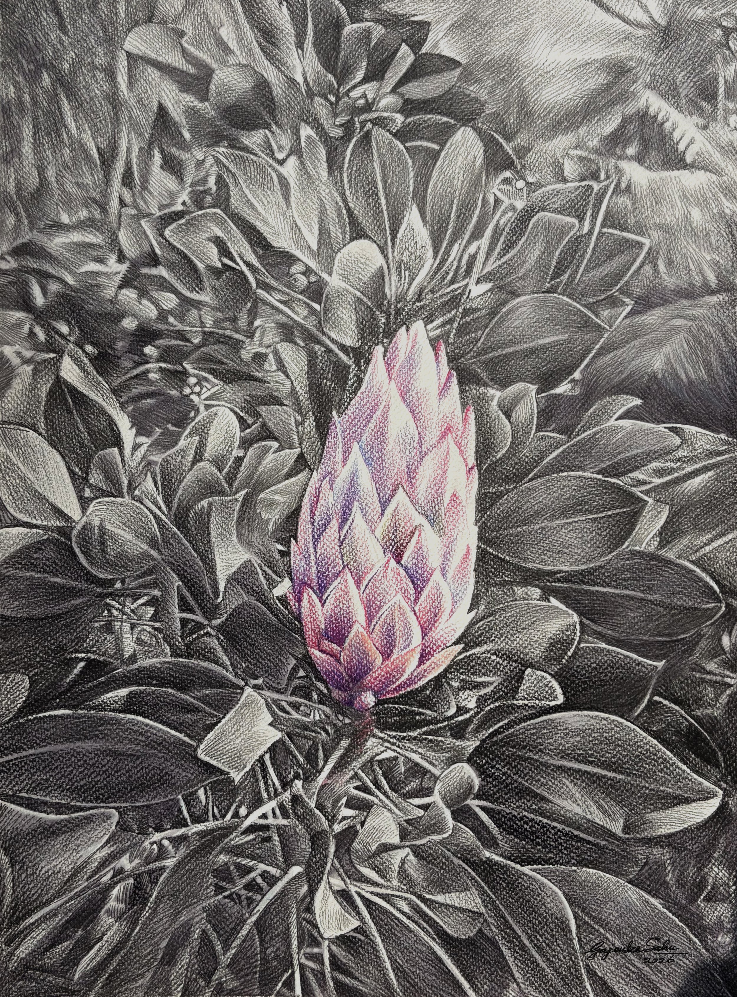 Untitled 22