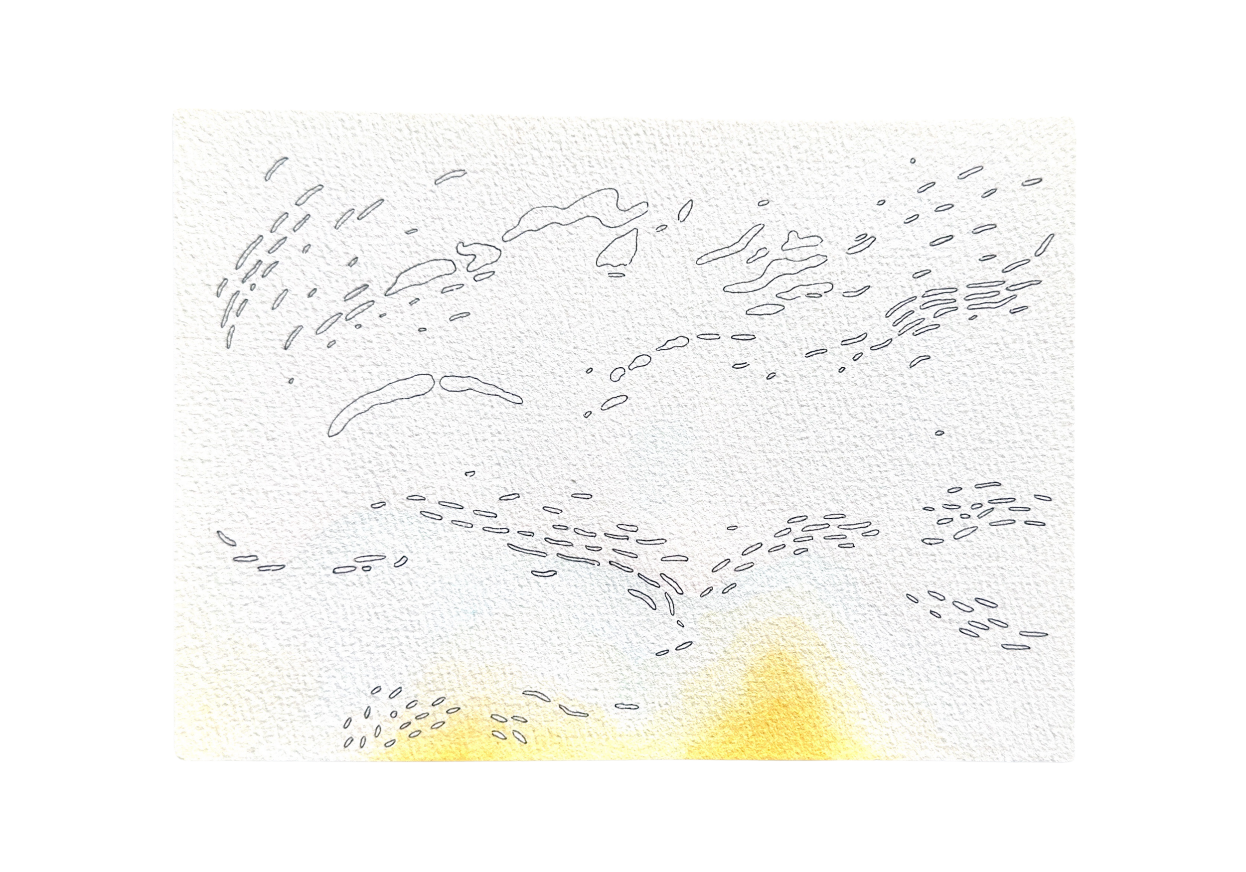 Ripples