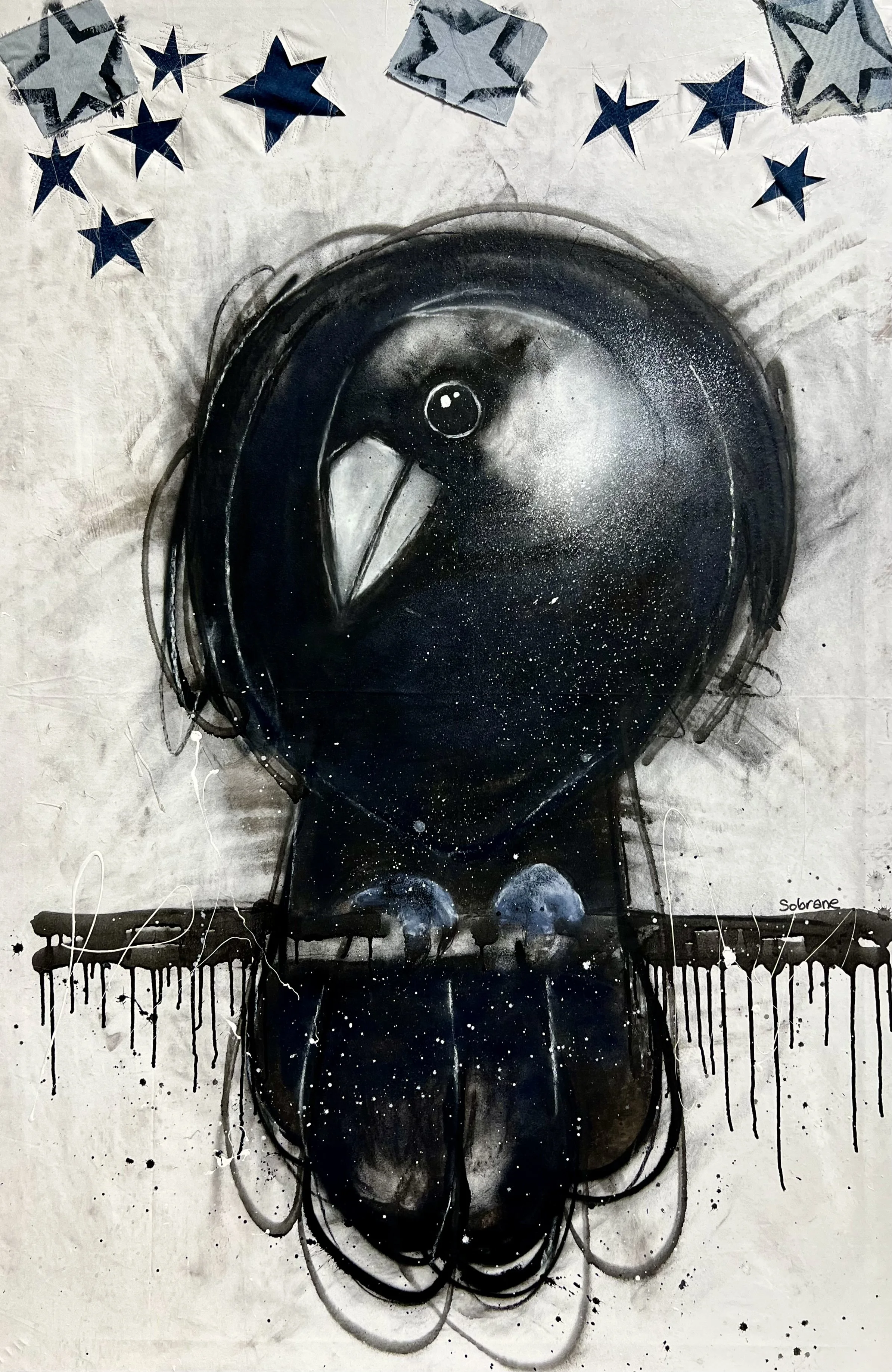 The Stars and the Stripes