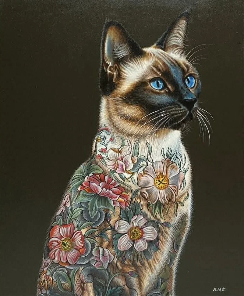 02992801-1f1a-40be-8fd0-abec5ceea65e 2.jpg