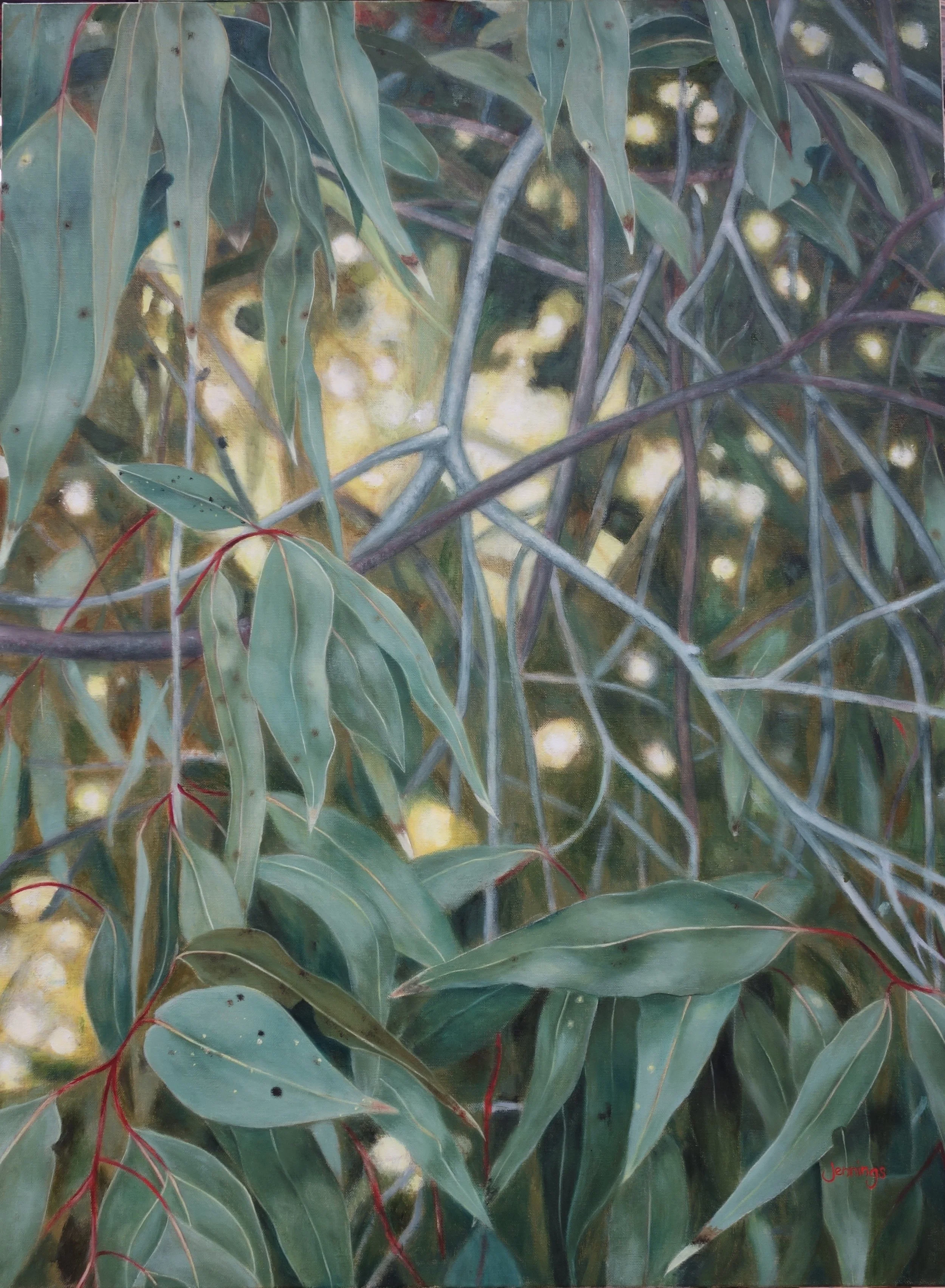 Eucalypt New Morning.JPG