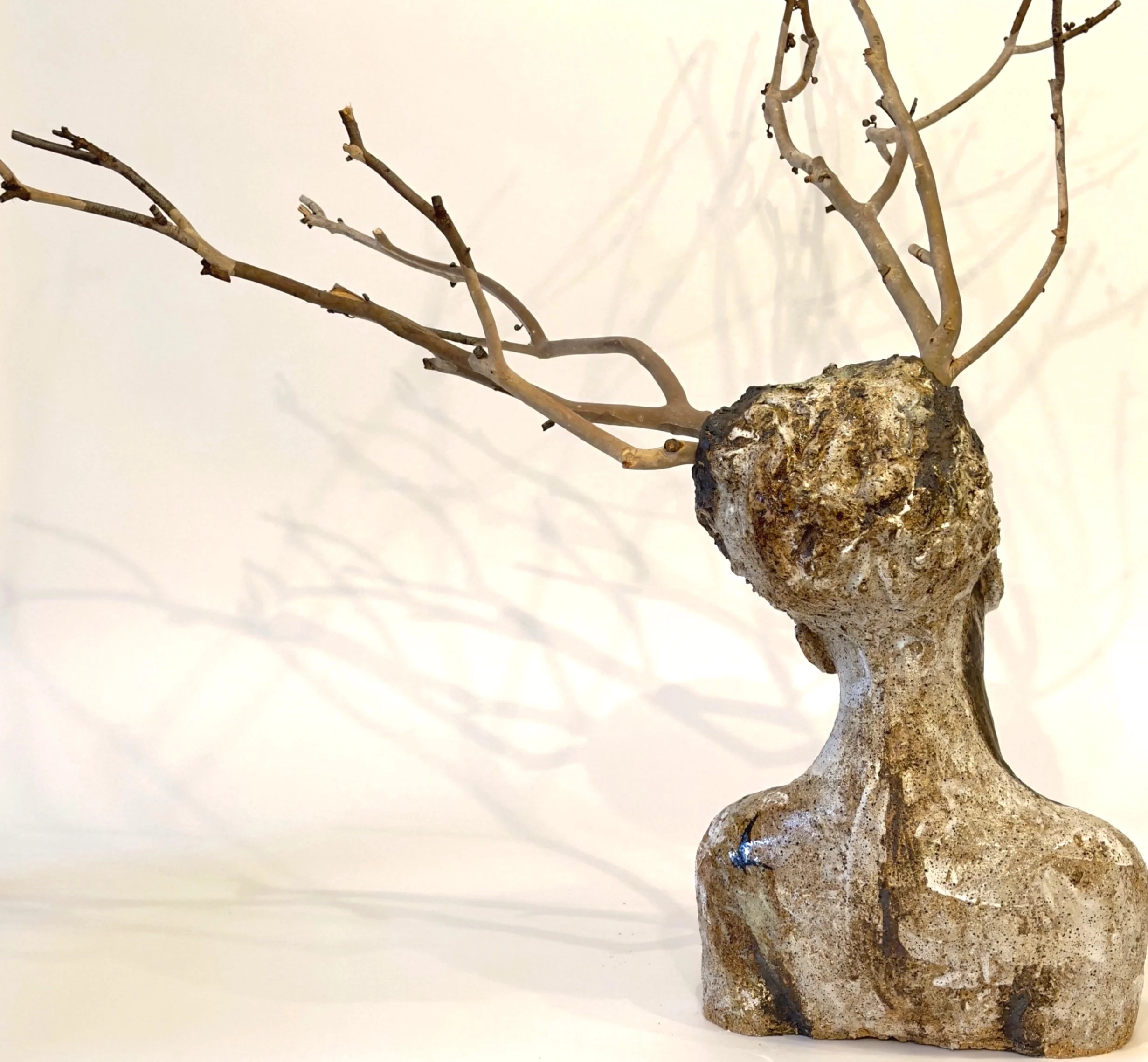 Forest dreaming (back).jpg
