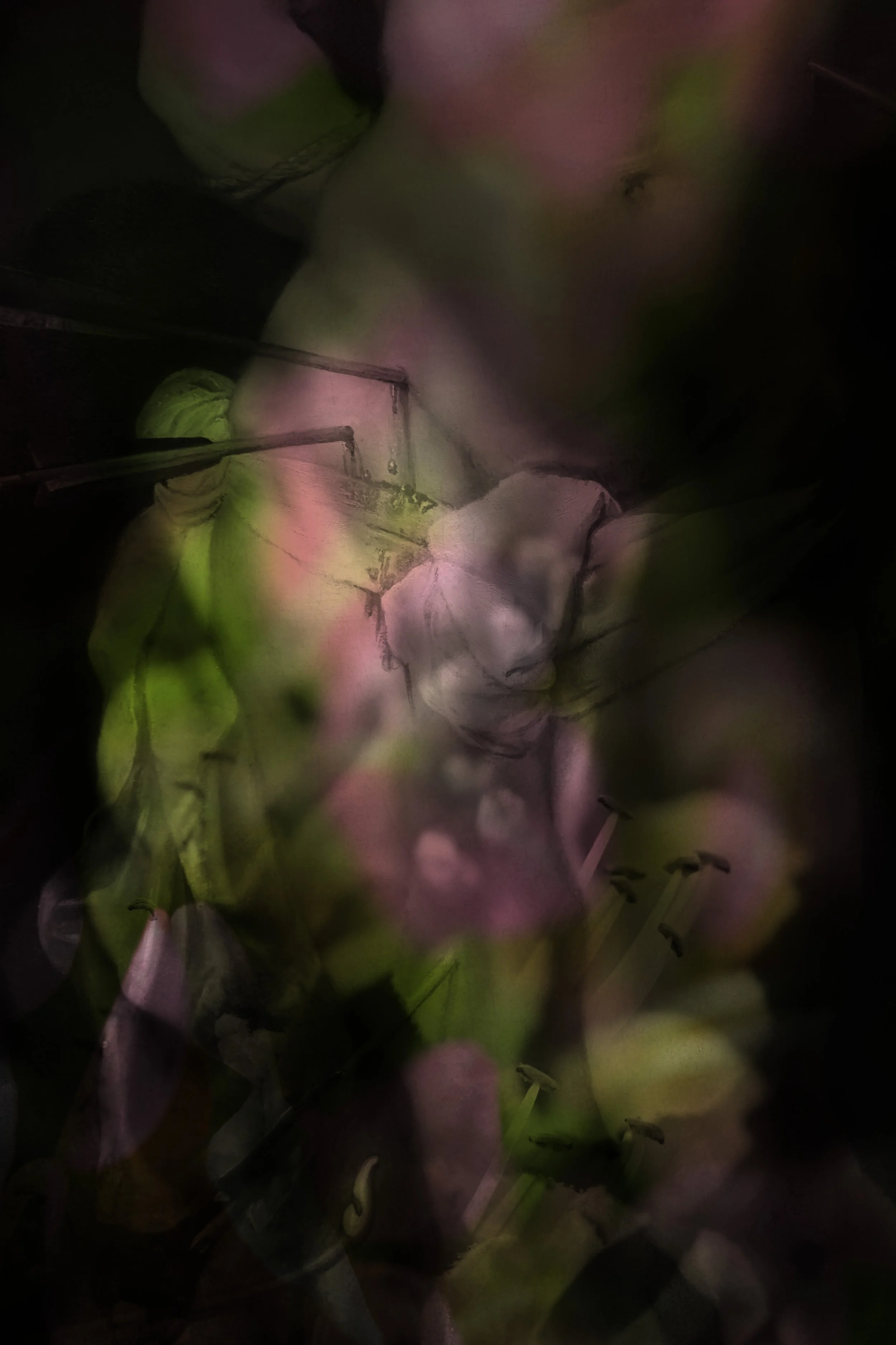 Our bodies are wild and shimmering 14