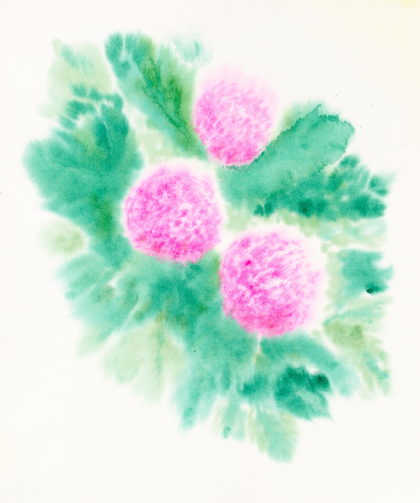 Collective II