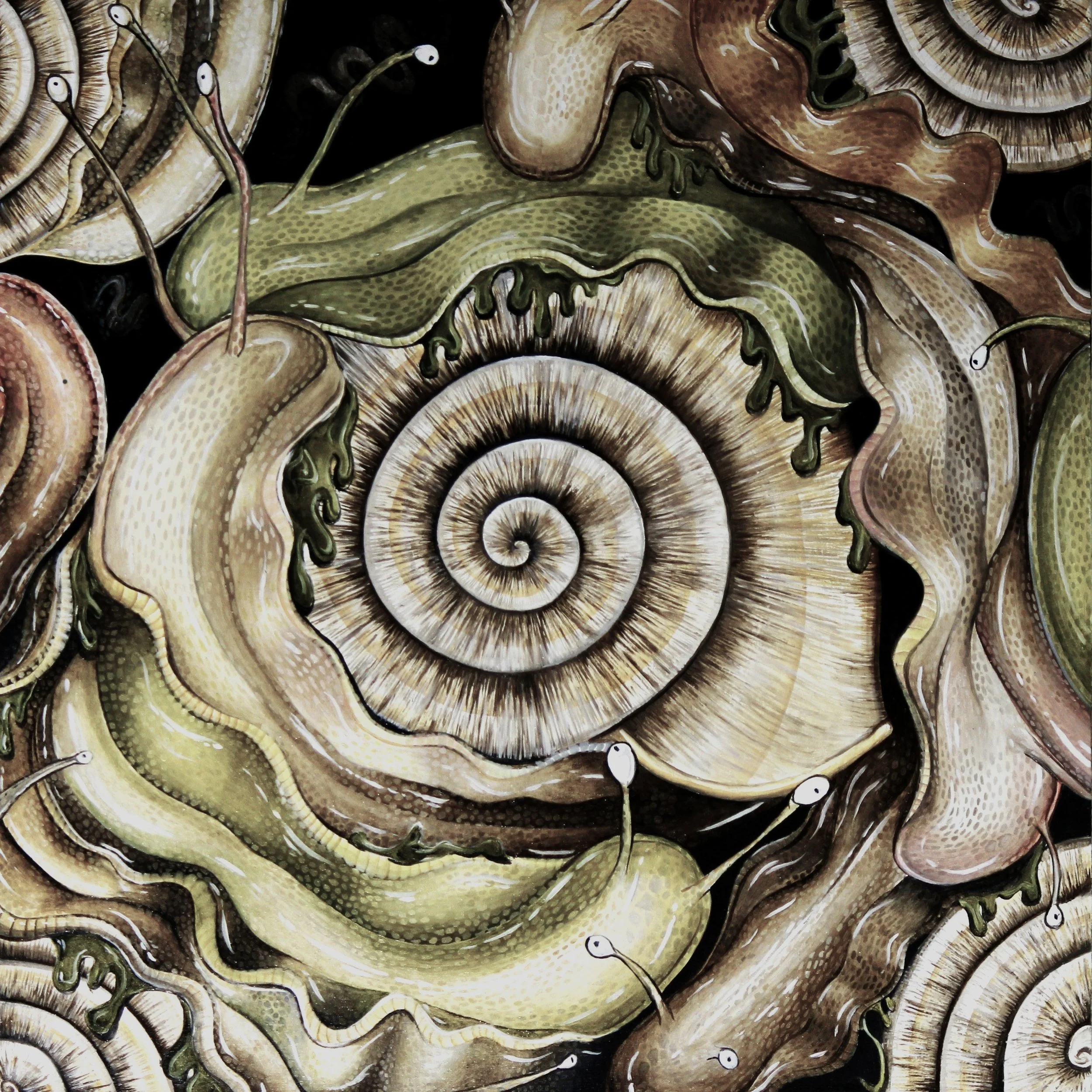 Snails Are Okay