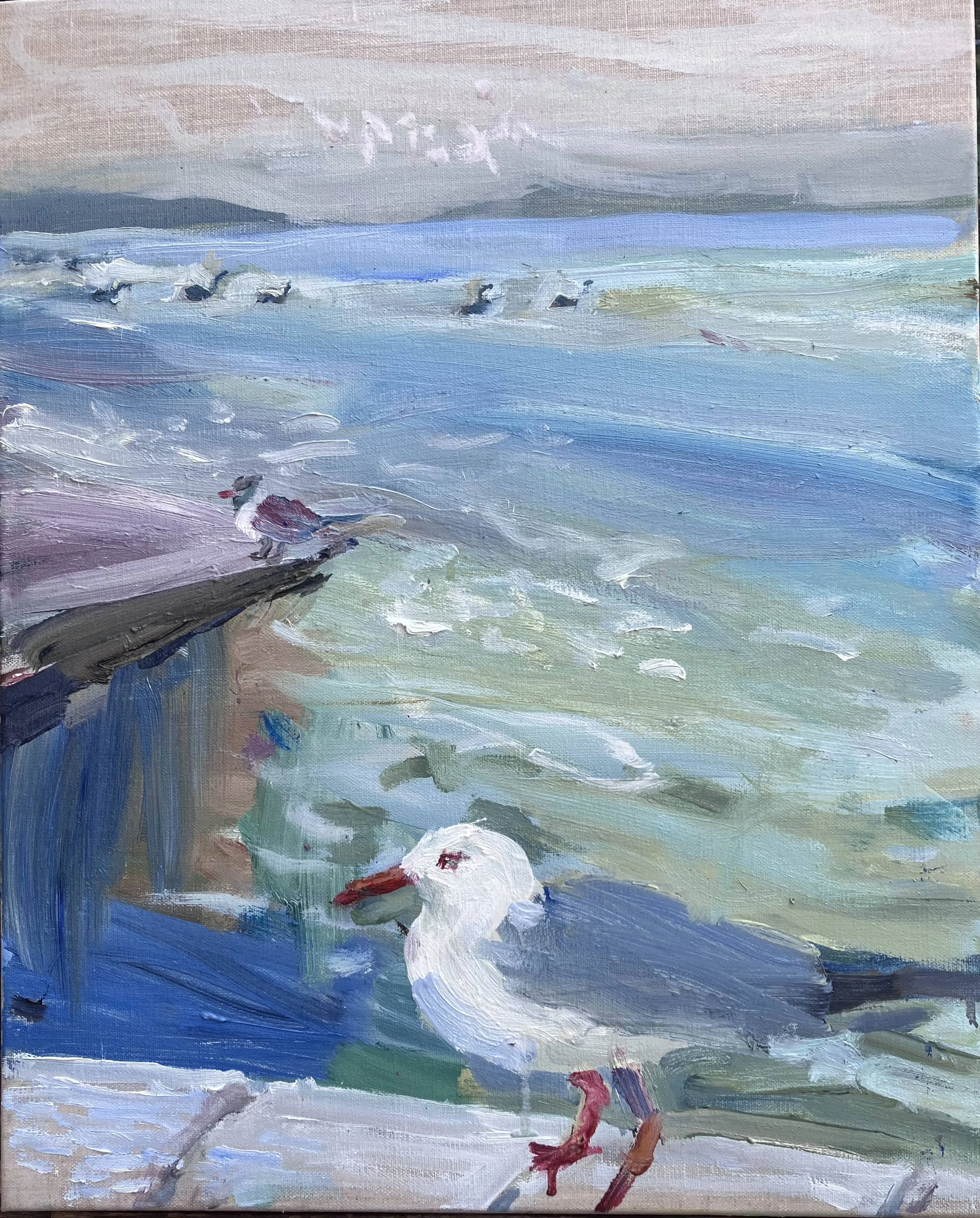 The Noble scavenger, water birds, migrating birds