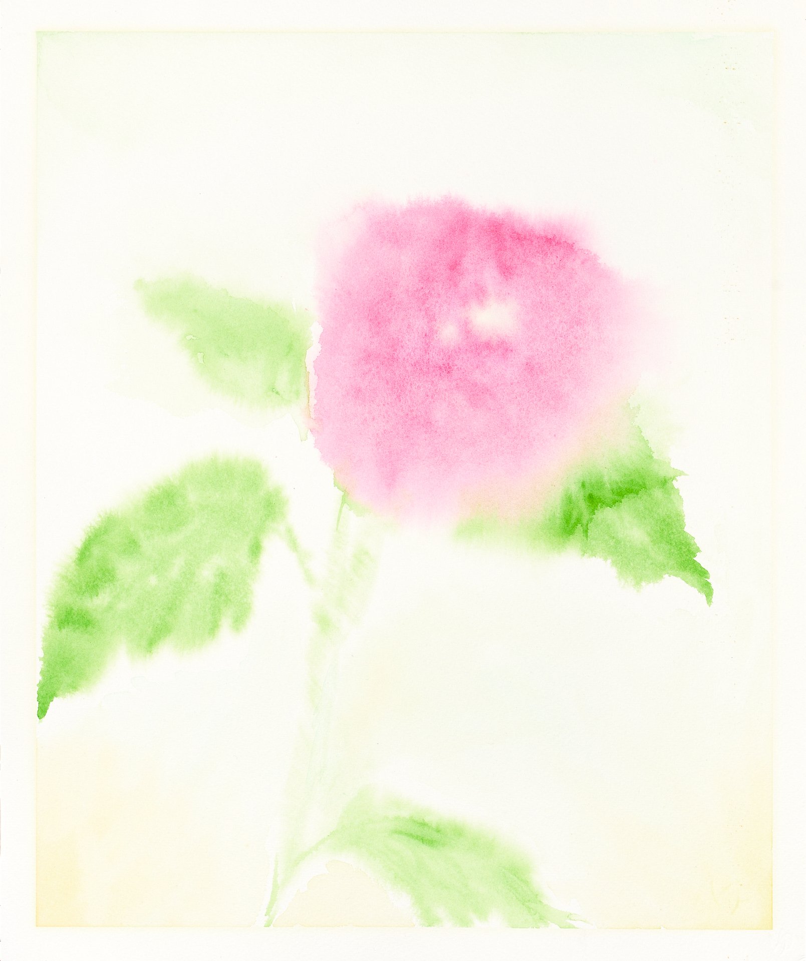 Fragrance