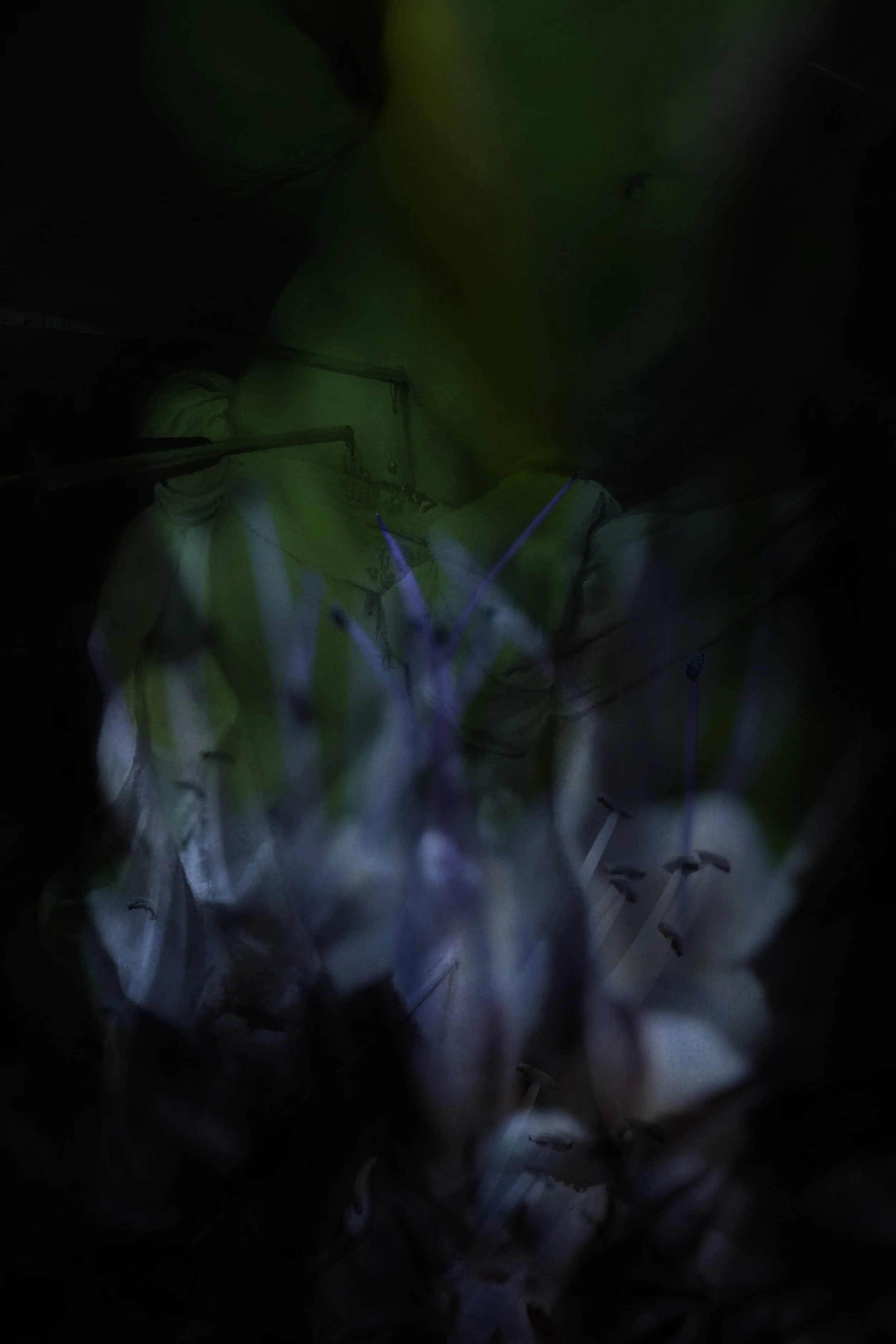 Our bodies are wild and shimmering 19