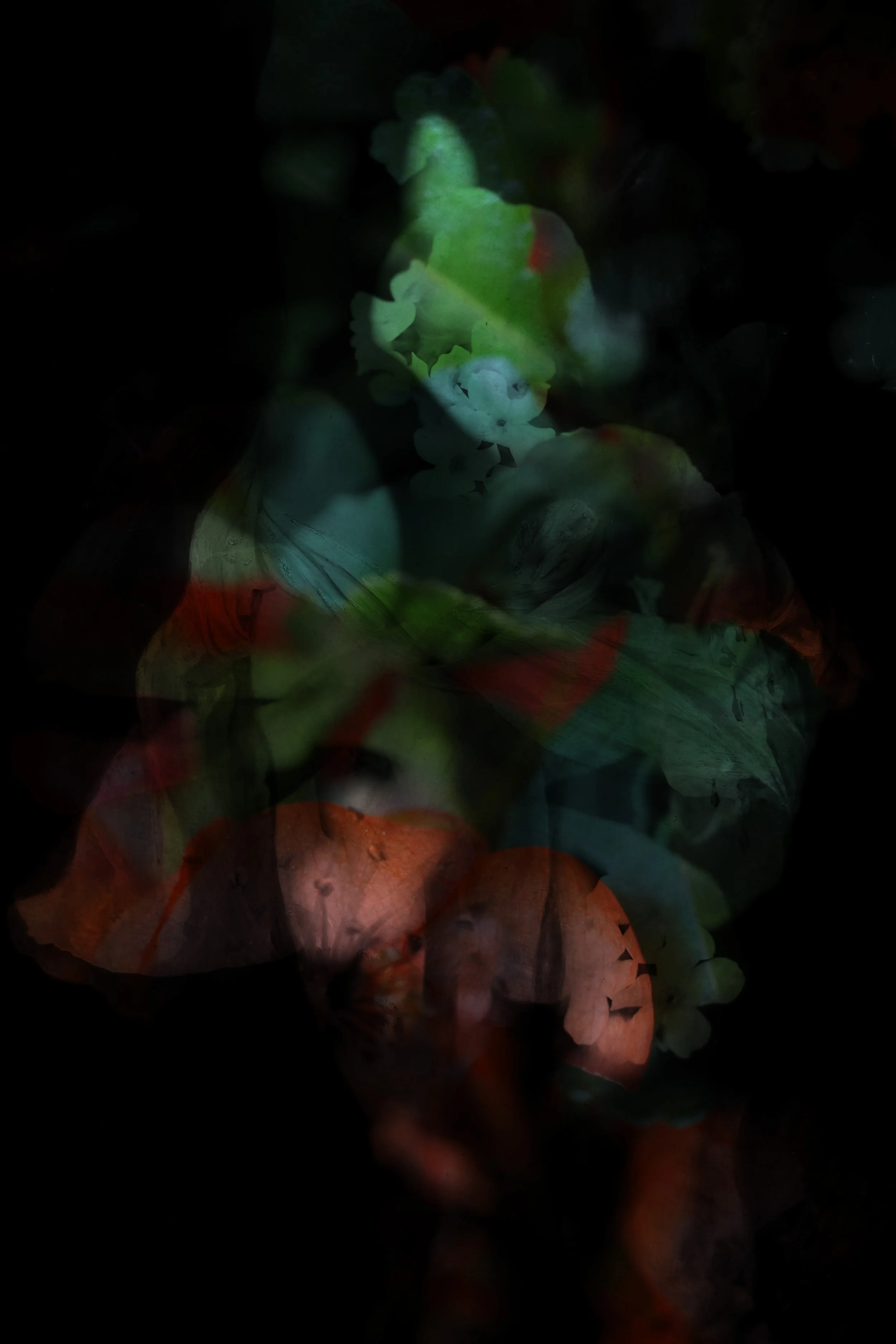 Our bodies are wild and shimmering 17