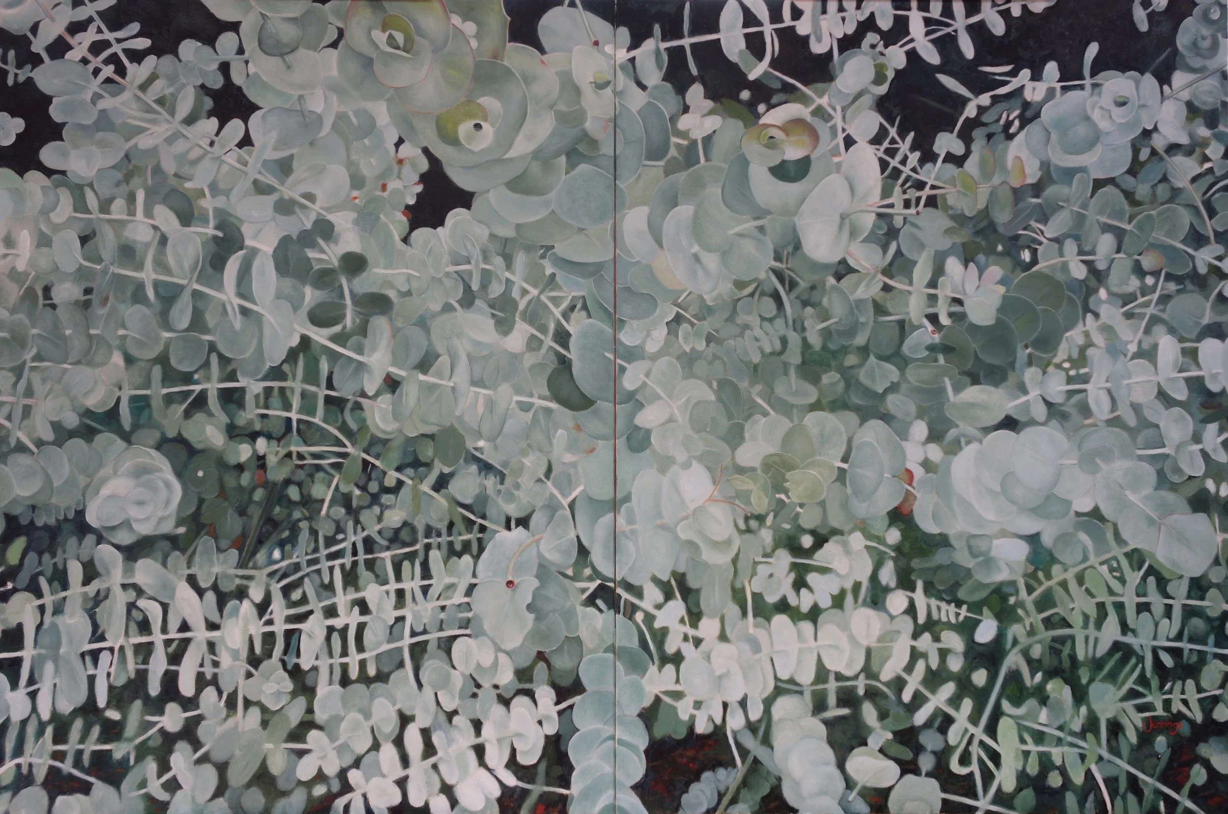 03139CE9-1D35-429F-BB09-58F2DCC0CE0F-DSC05259.jpeg