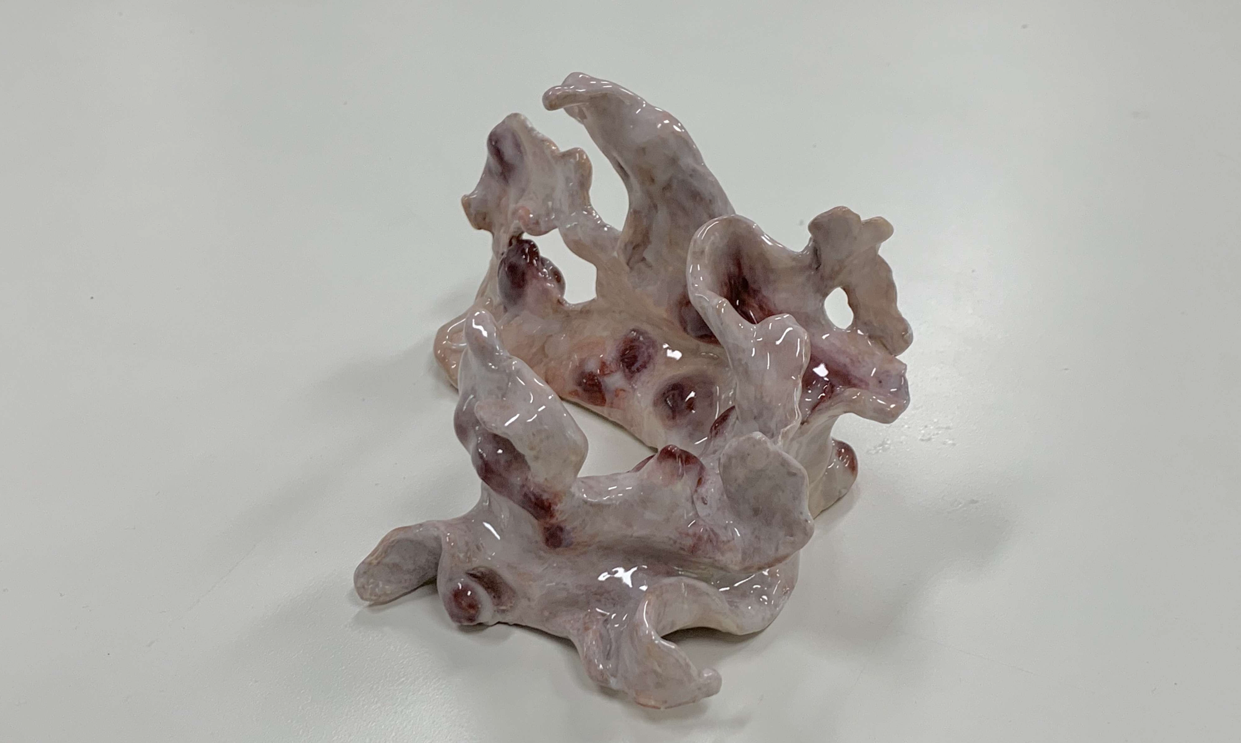 Screenshot 2026-04-11 at 12.14.02 PM.png