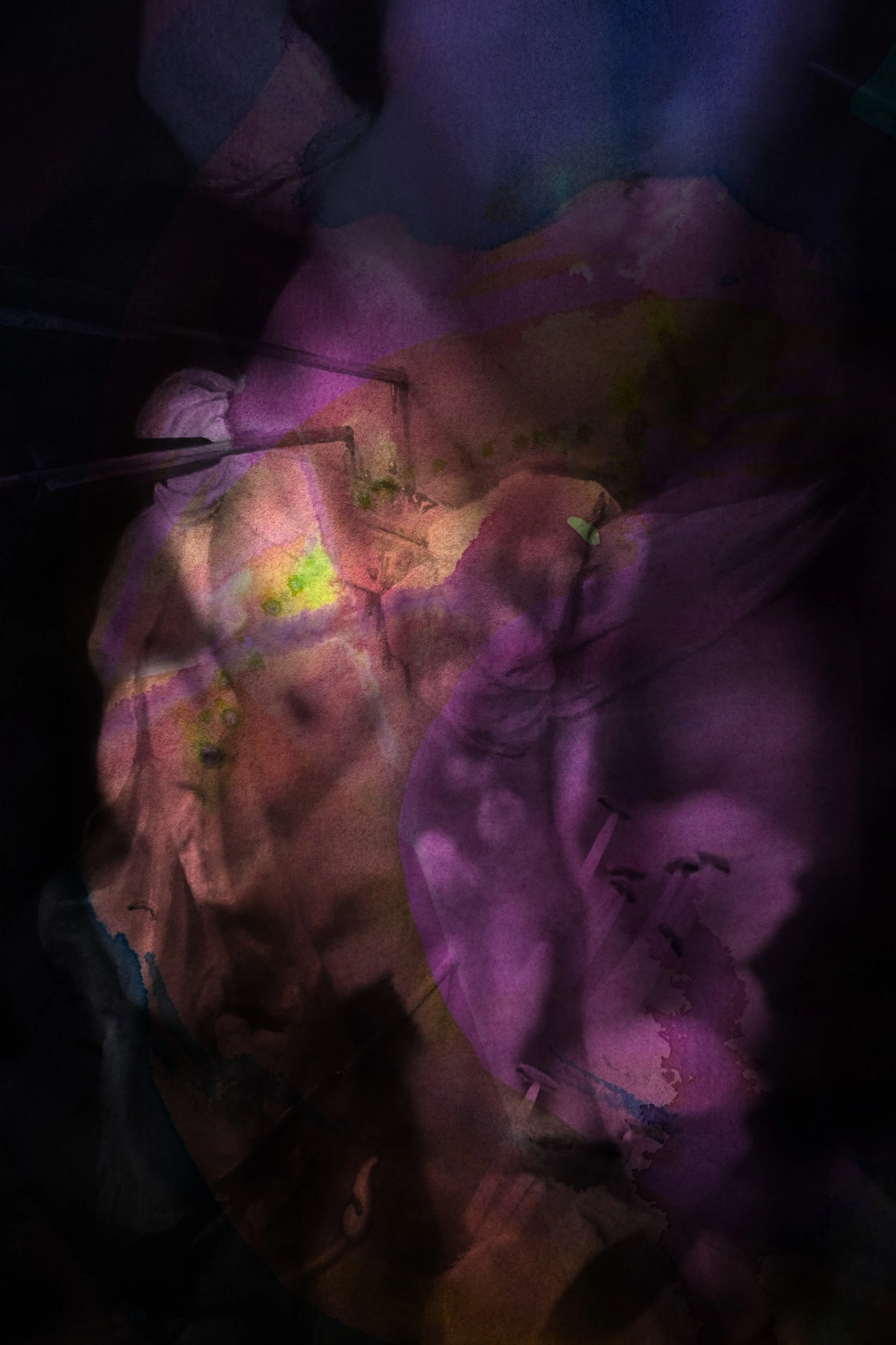 Our bodies are wild and shimmering 9