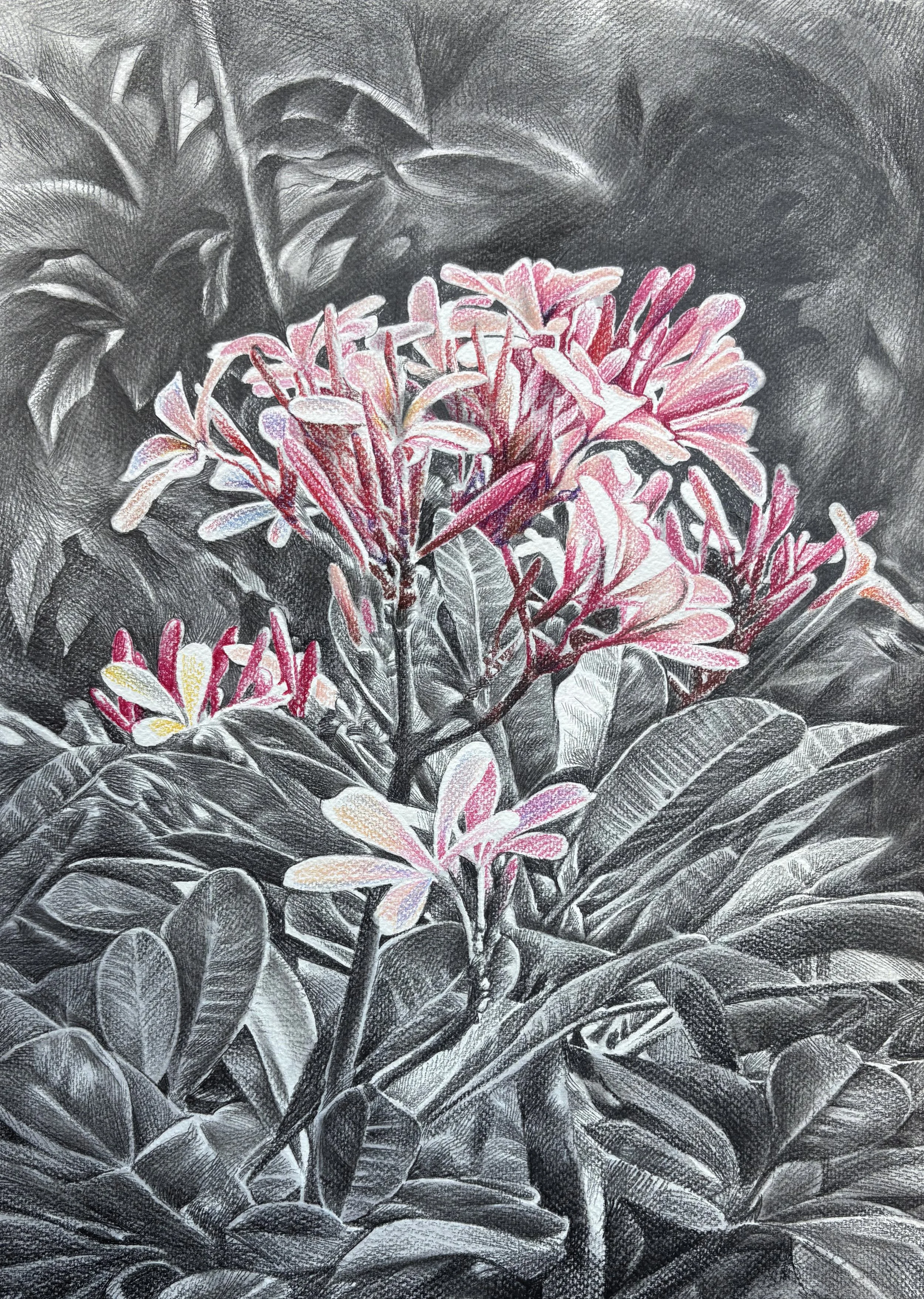 Untitled 25