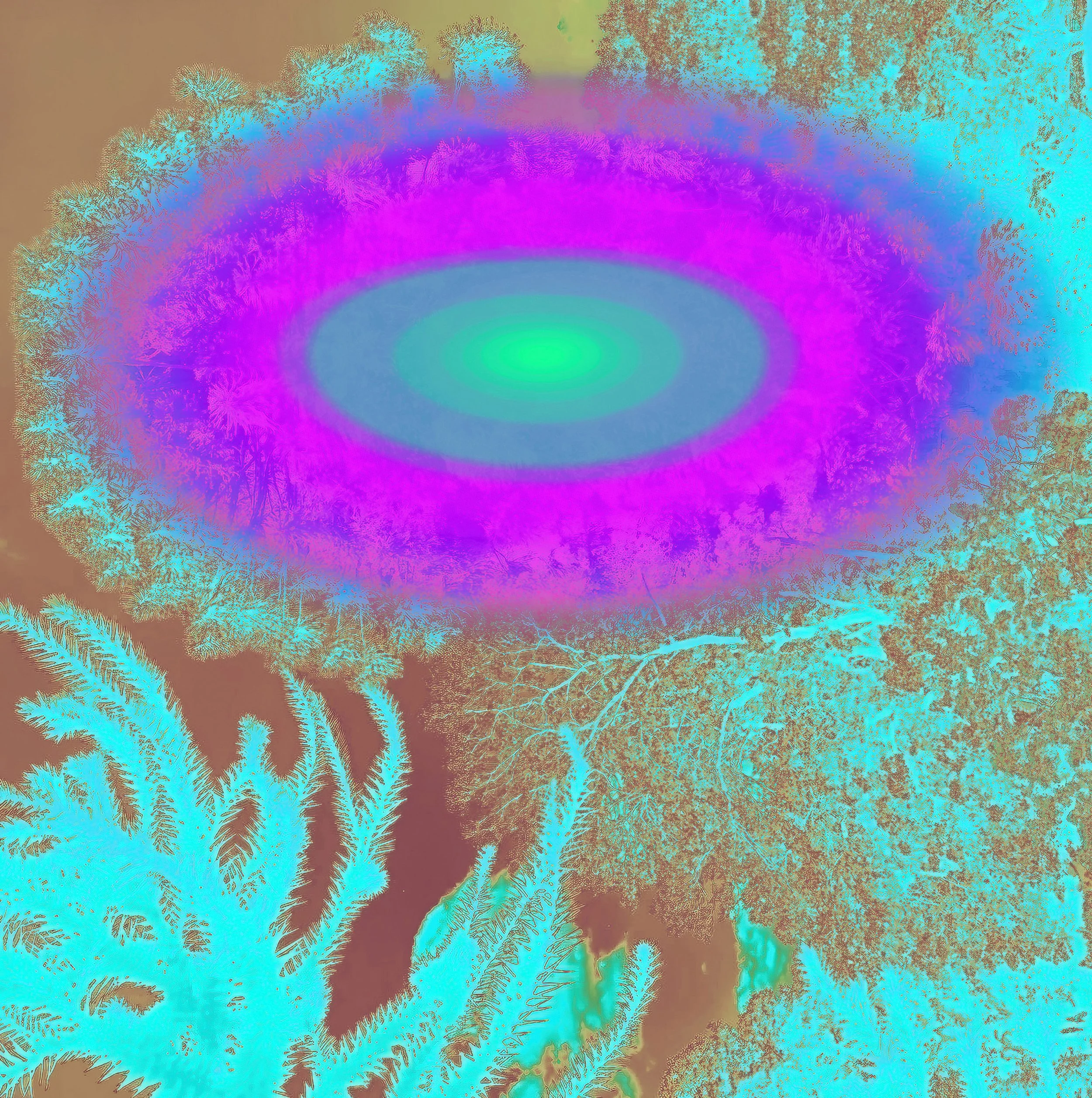 Presence #11