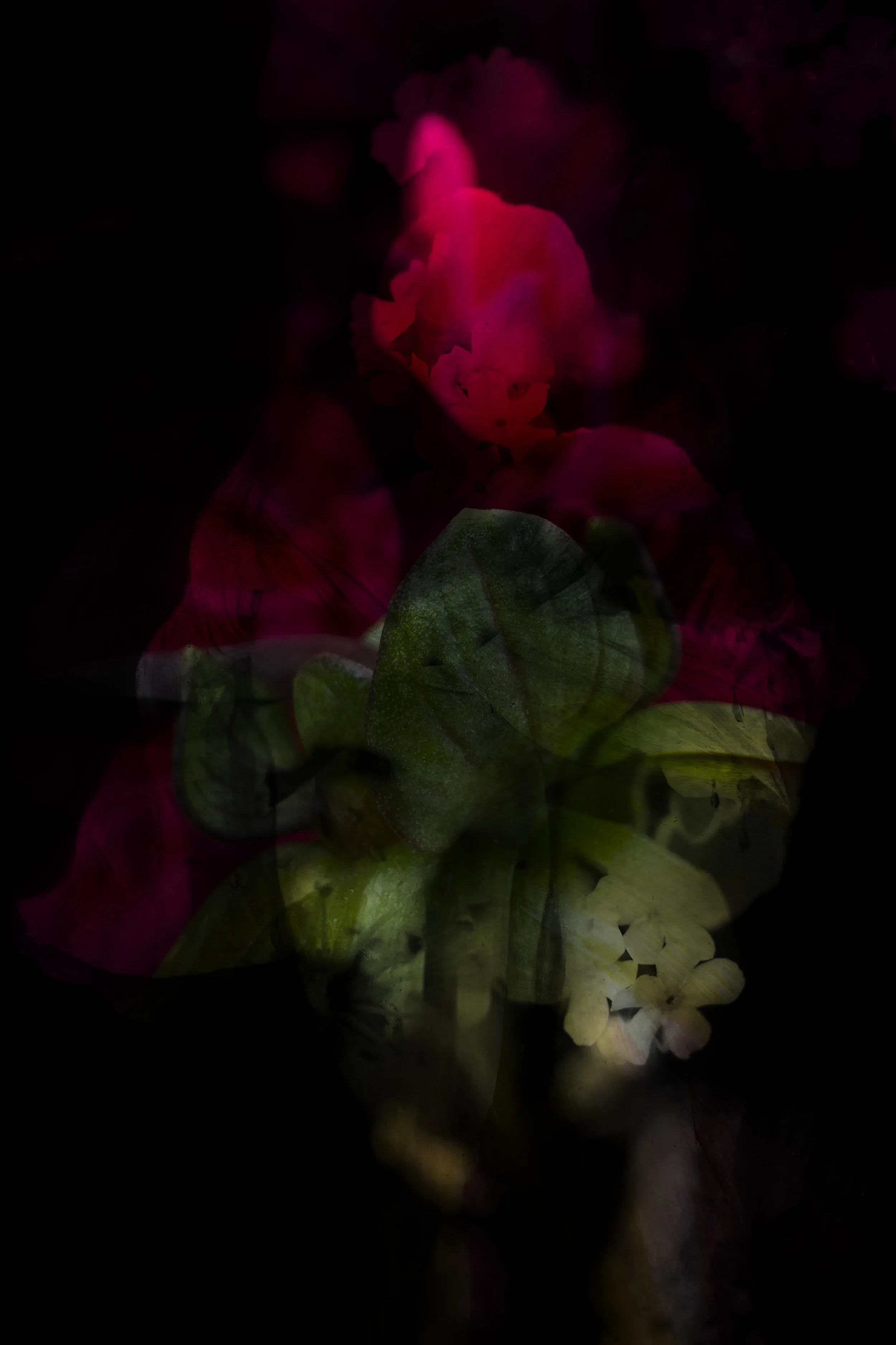 Our bodies are wild and shimmering 25