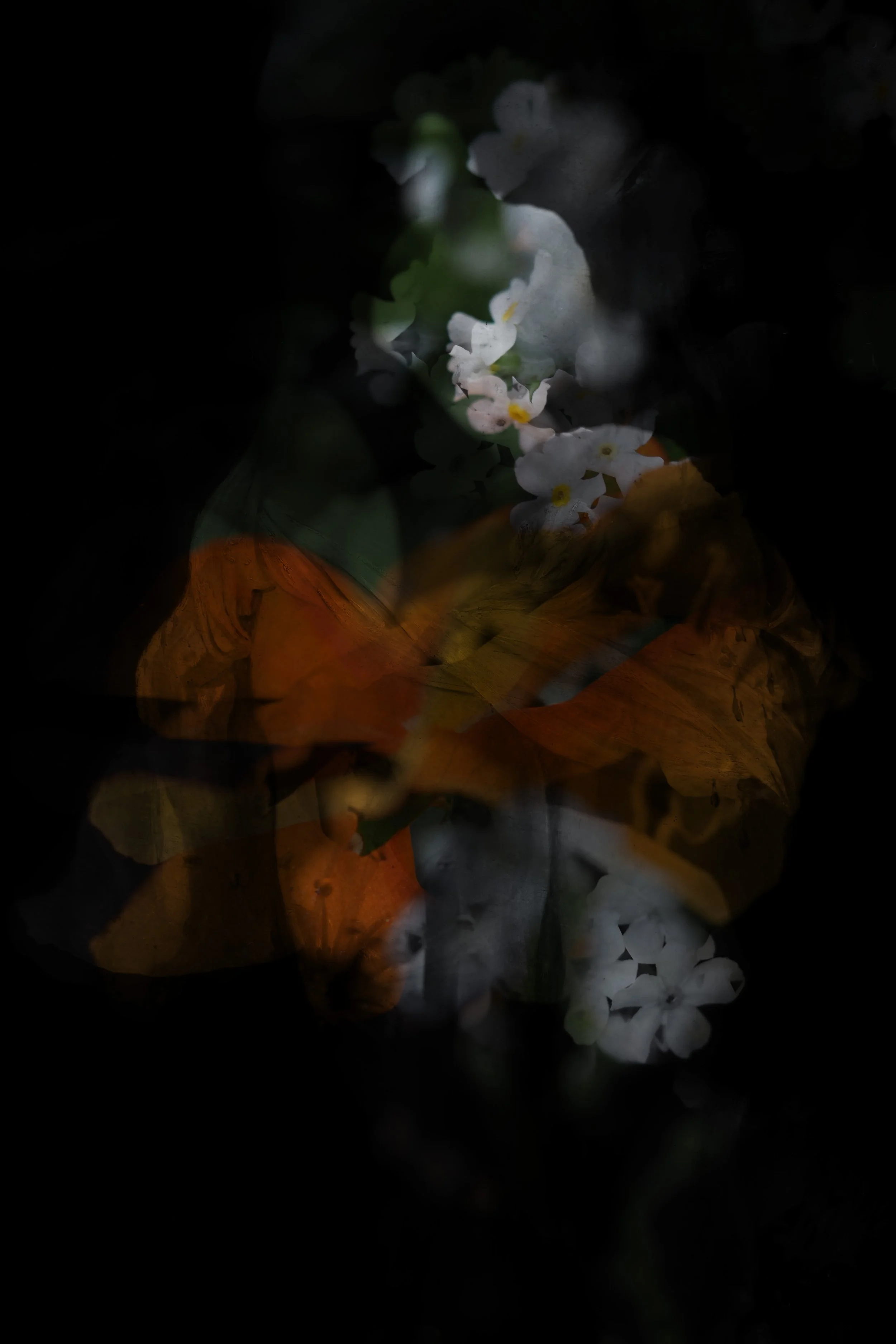 Our bodies are wild and shimmering 2