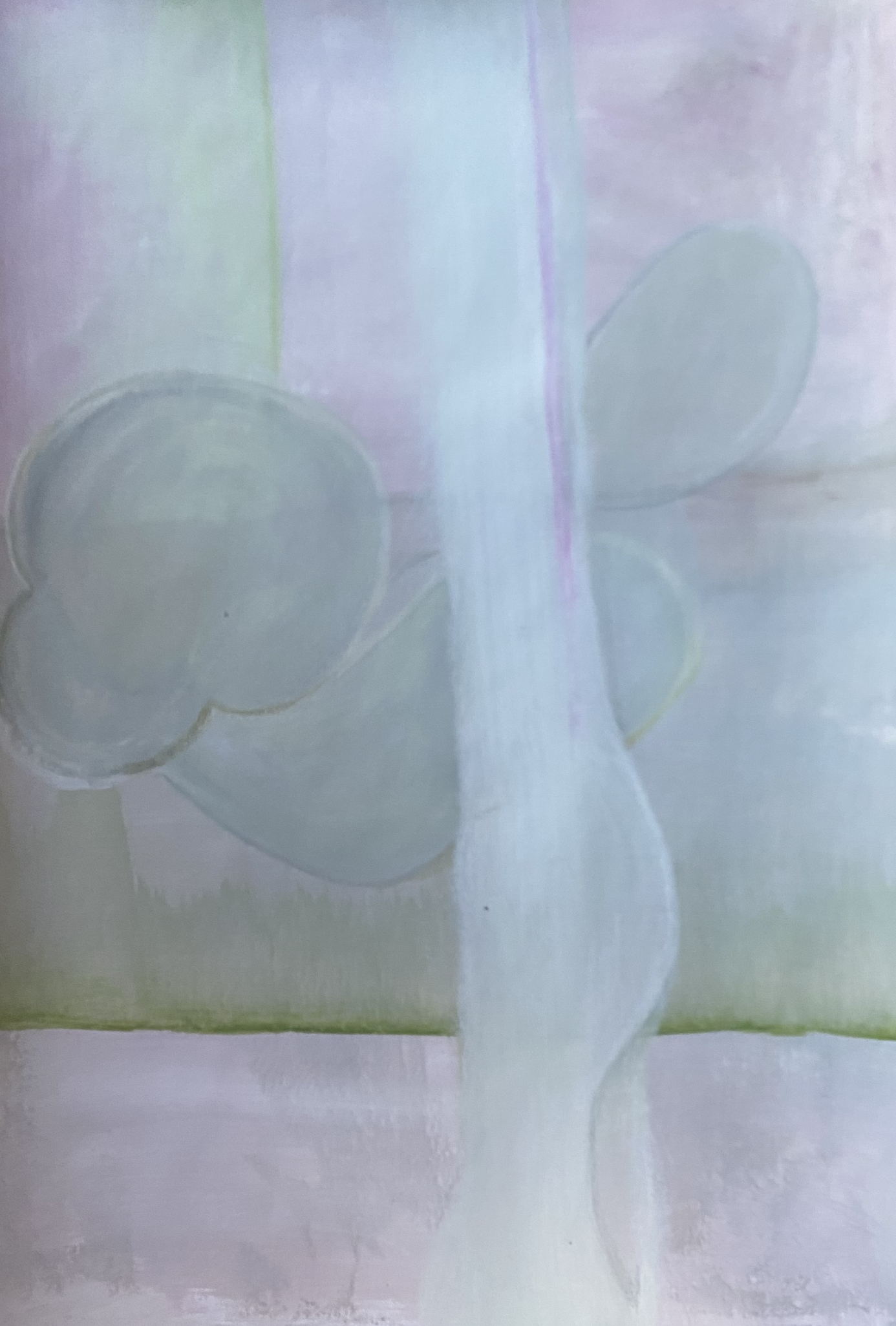 Amanda Lugg  - In the Bathroom