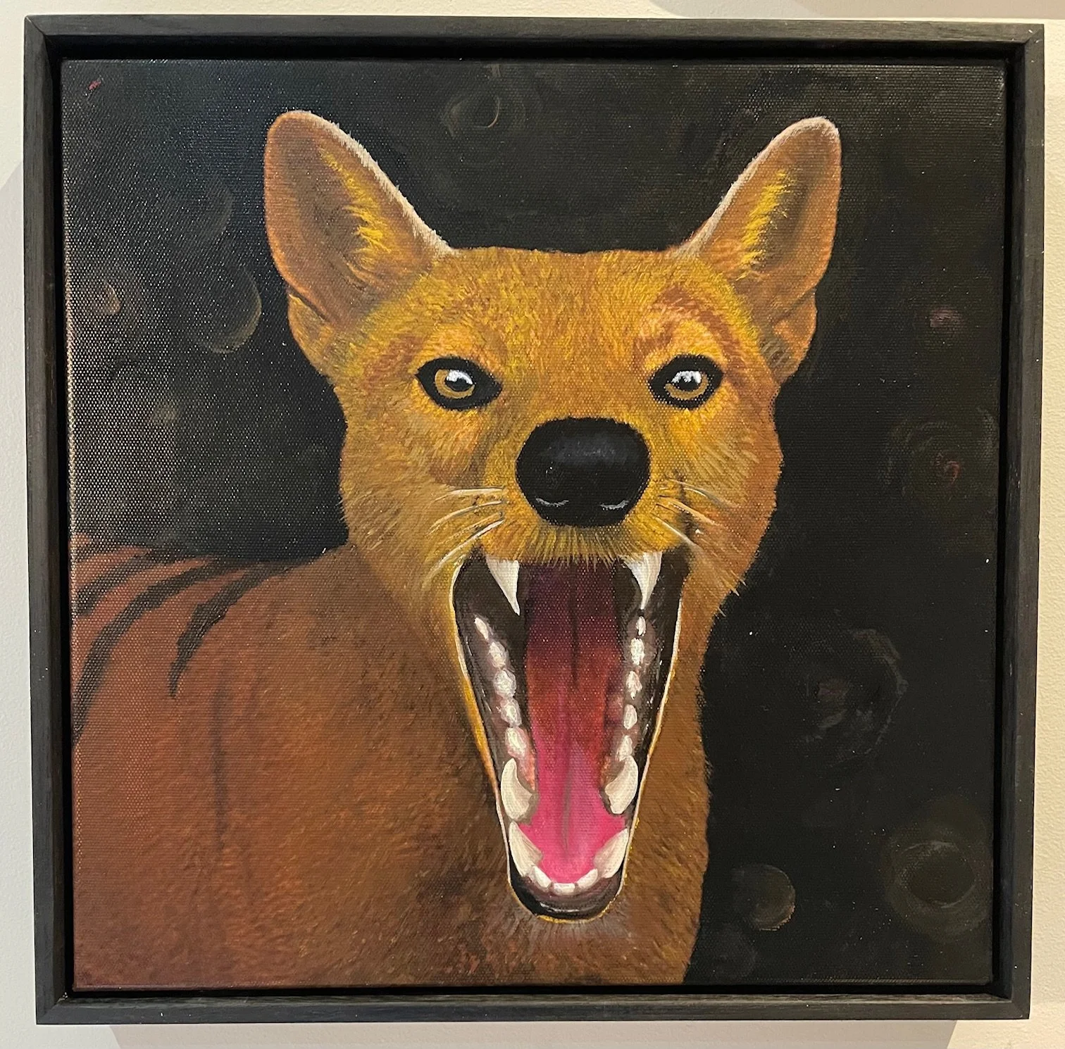 Echo of the wild.jpg