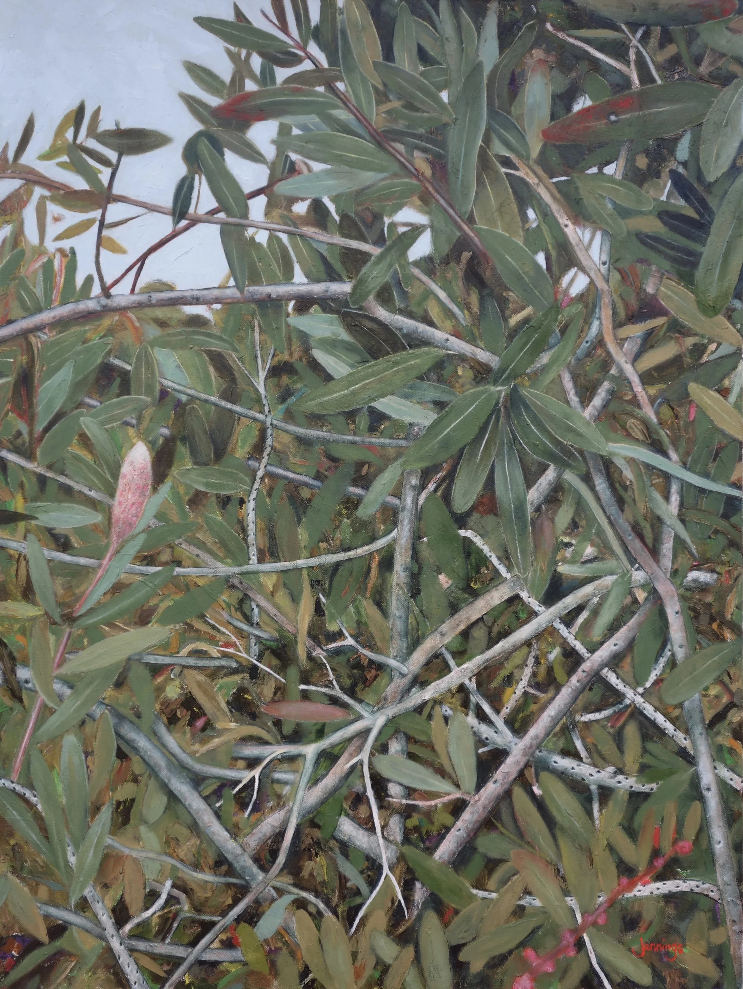 Bottle Brush
