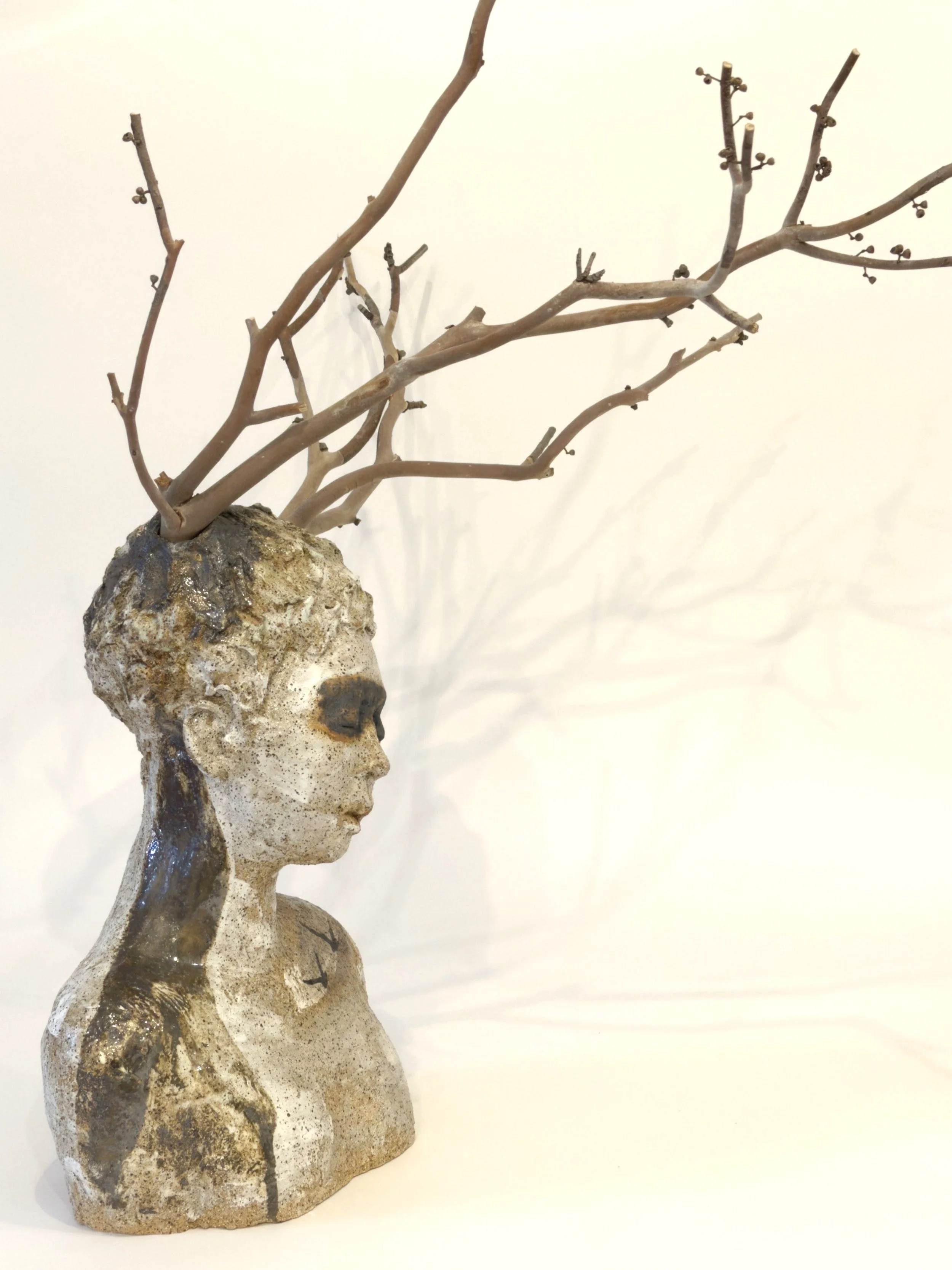 Forest dreaming (side) (1).jpg