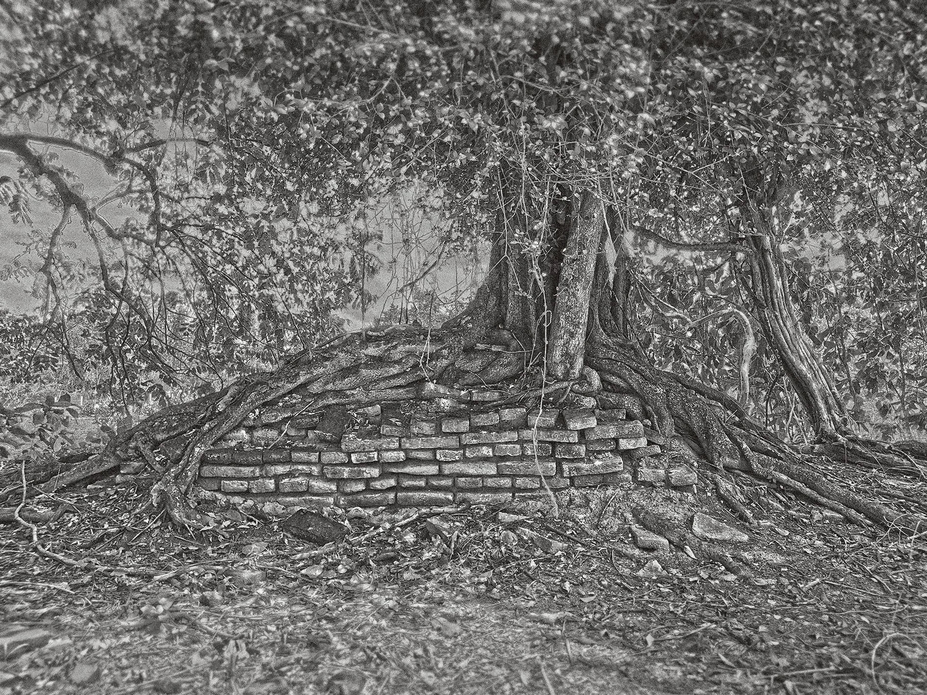 Wannuchad Likitmarnon - Sappaya: The remained area Vol.21