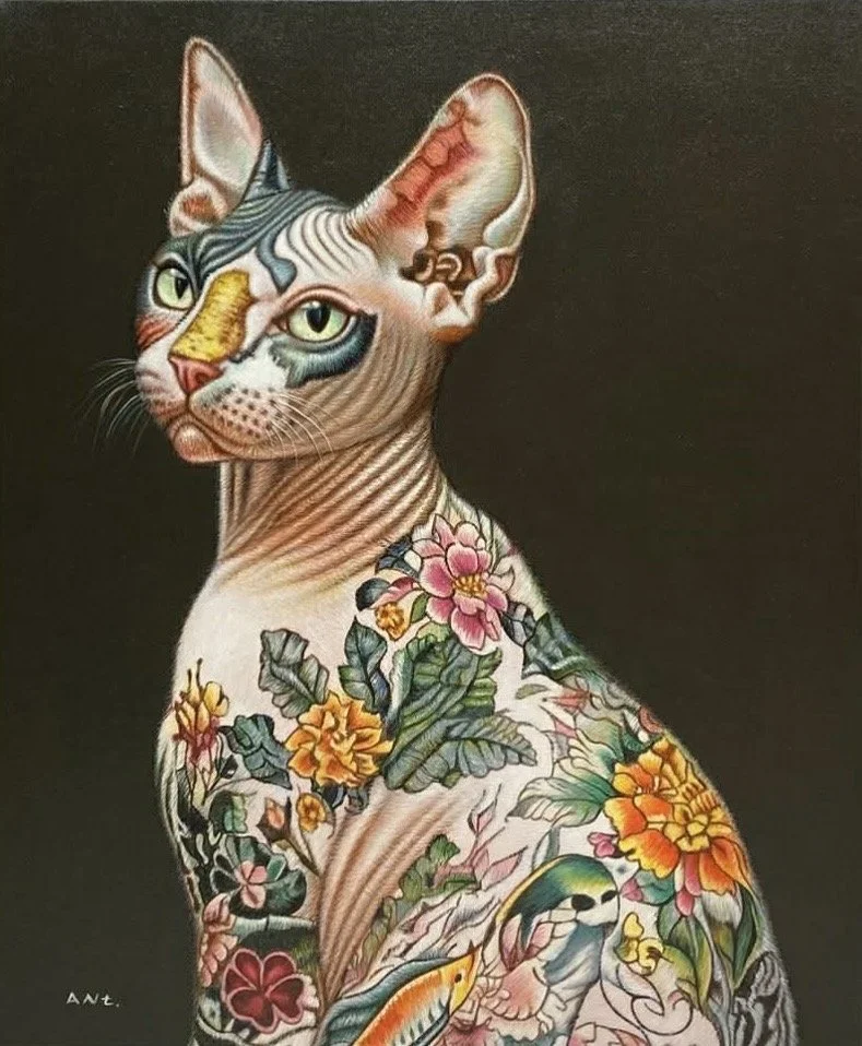 c4405580-0734-4b4e-87ba-d61a8db97950 2.jpg