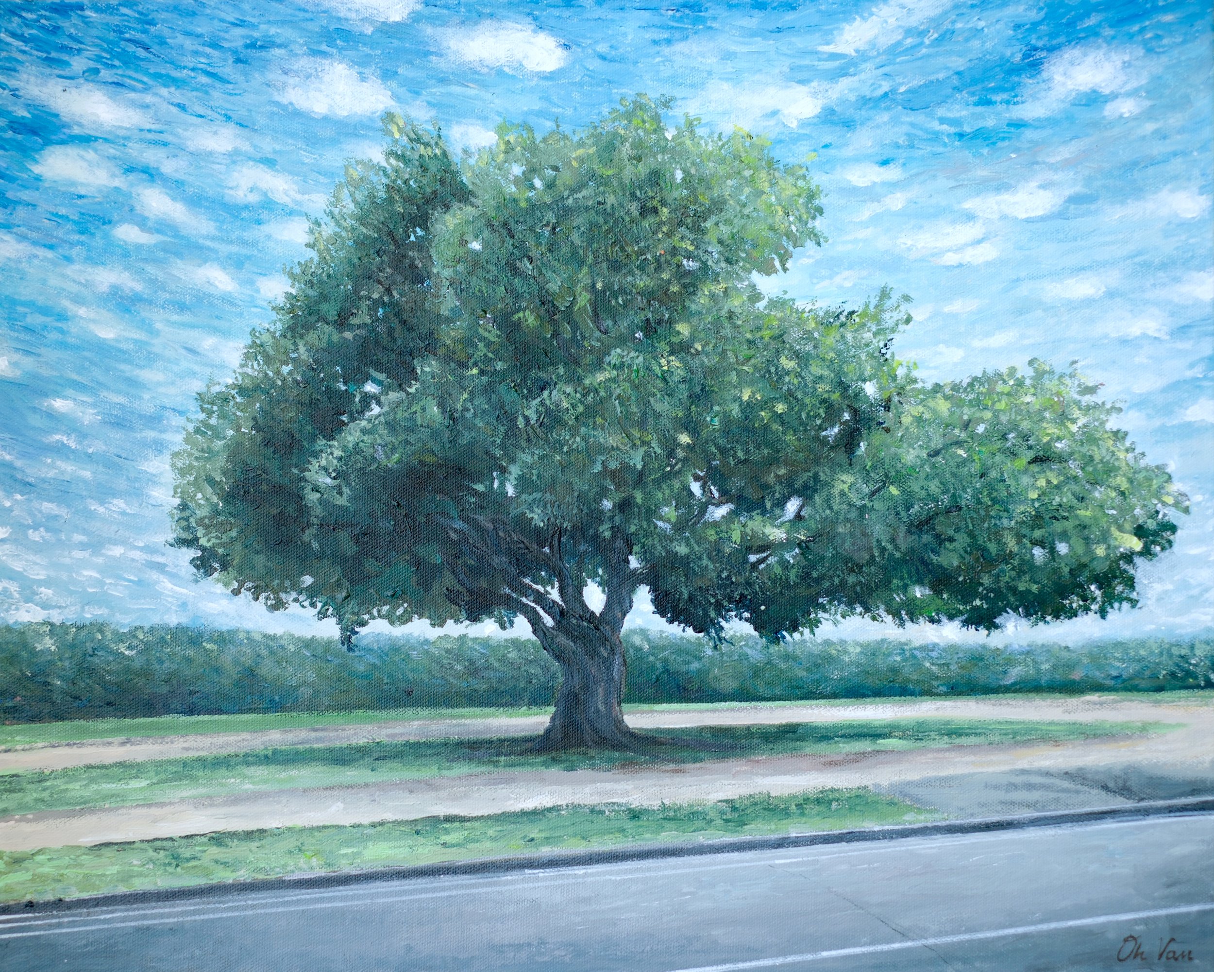 Tree in an Open Field