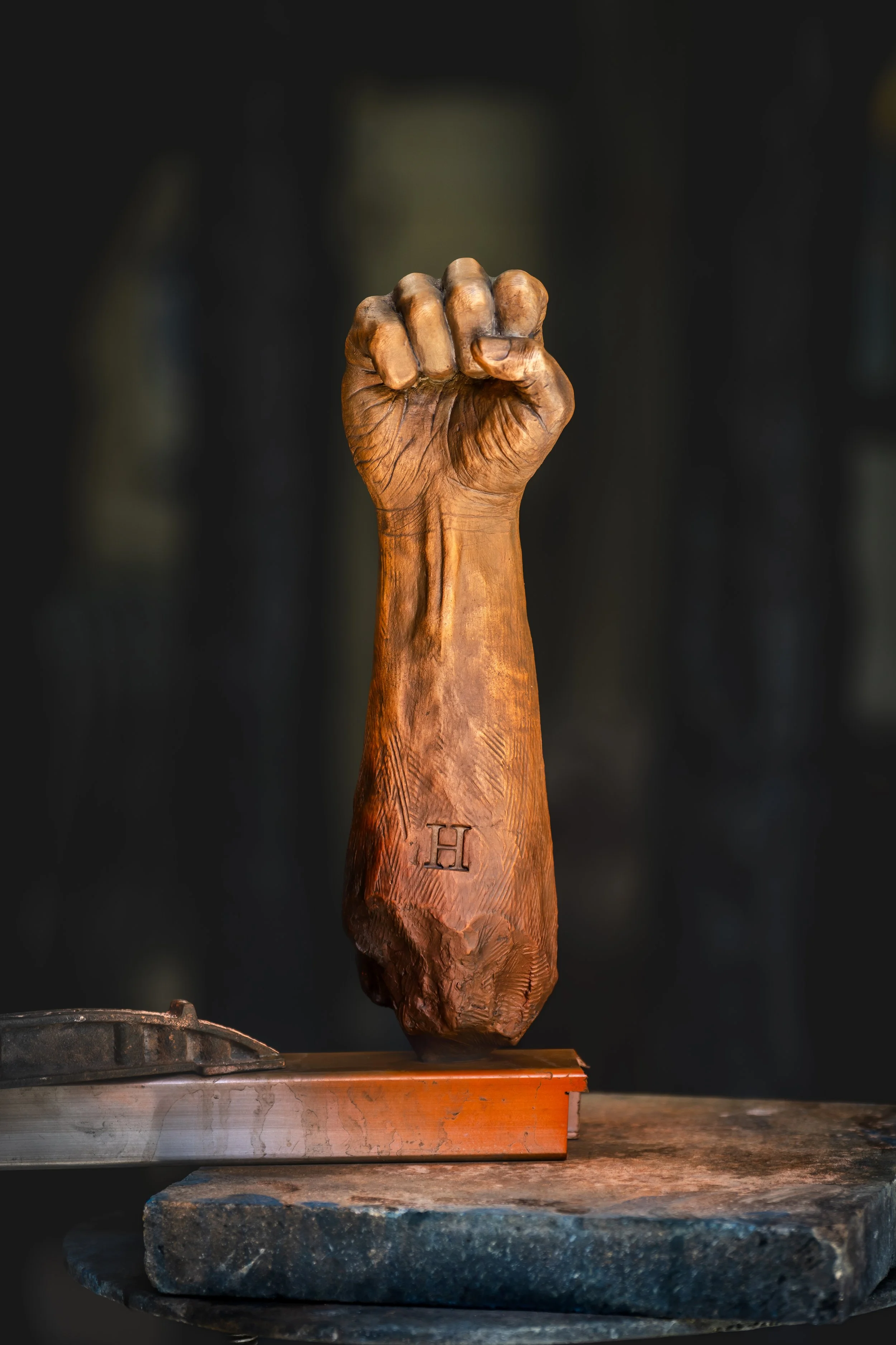 Hugues Schied- Quiet Strength (Fist)