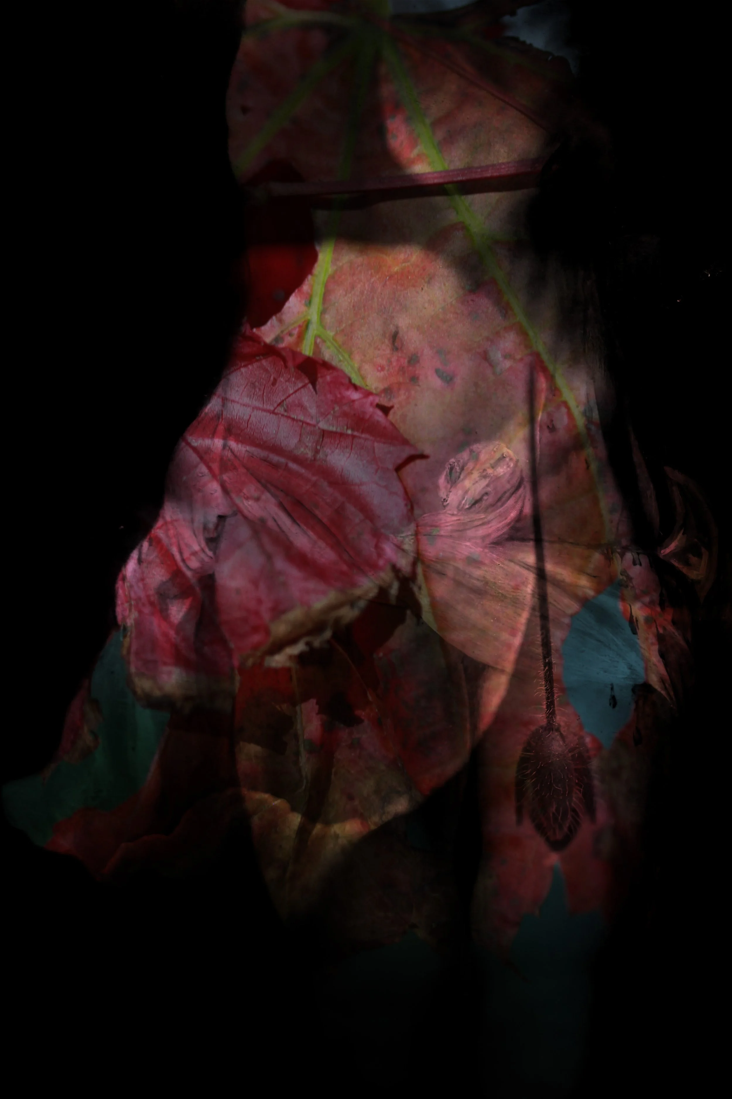 Our bodies are wild and shimmering 6