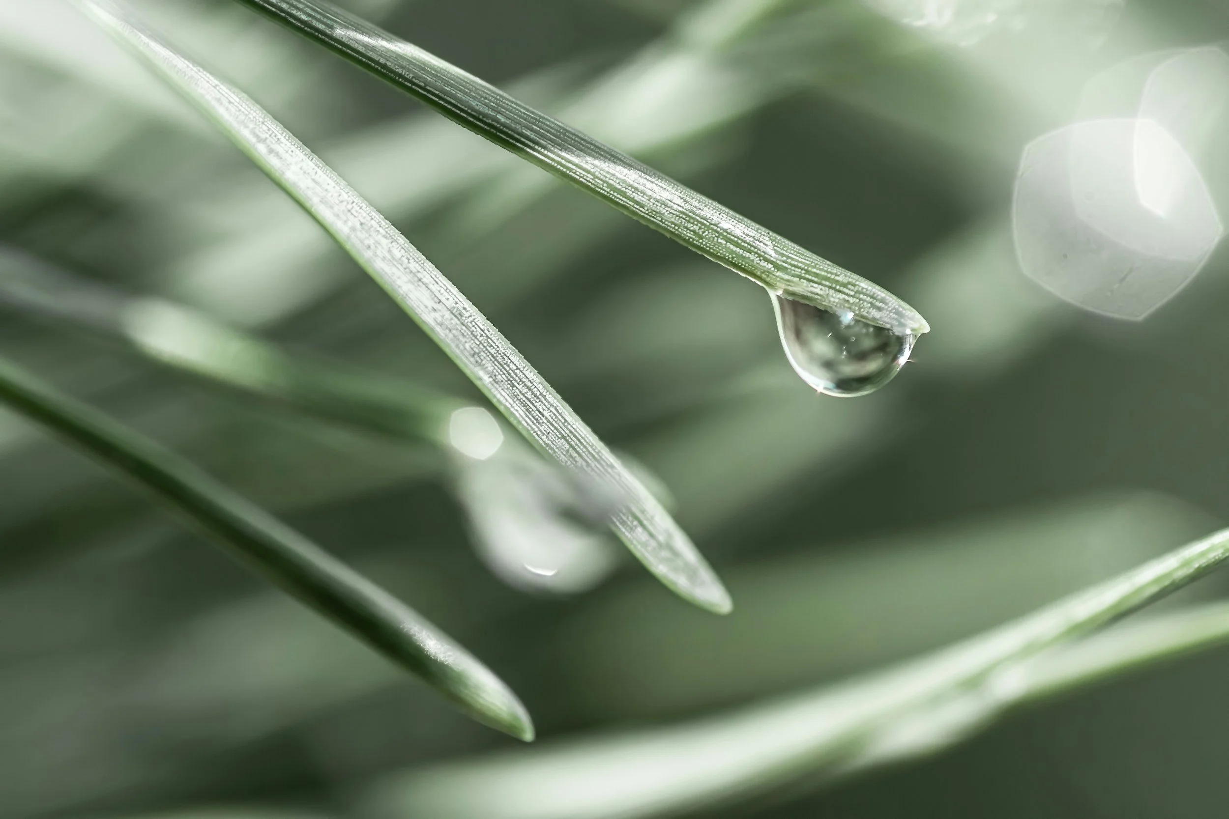 Step 2: The Art of Noticing
