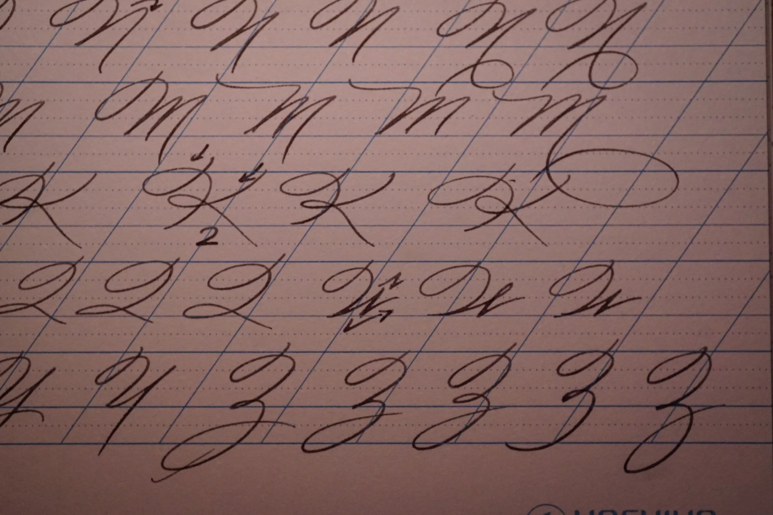 DSC04040.jpeg