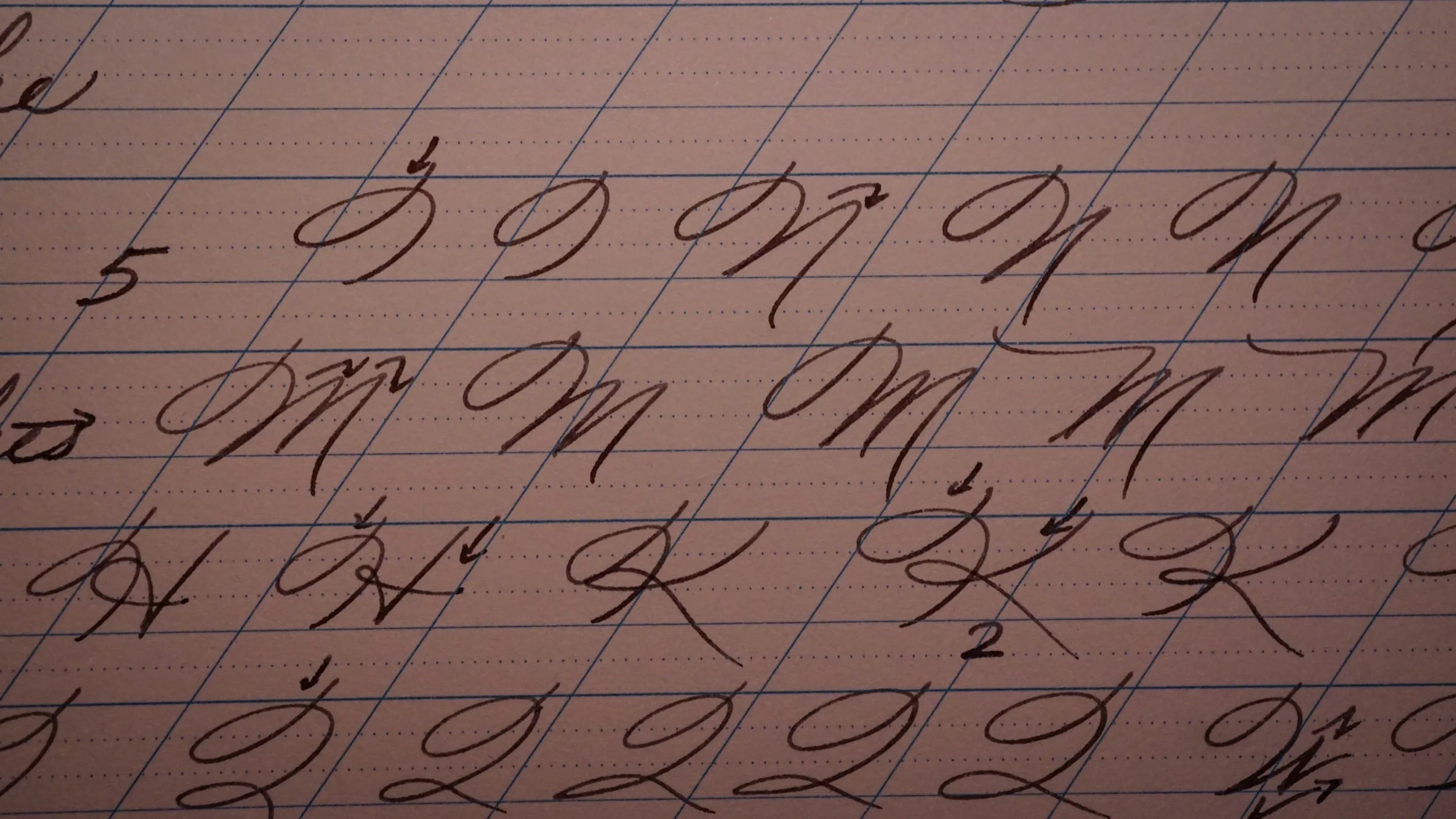 DSC04032.jpeg
