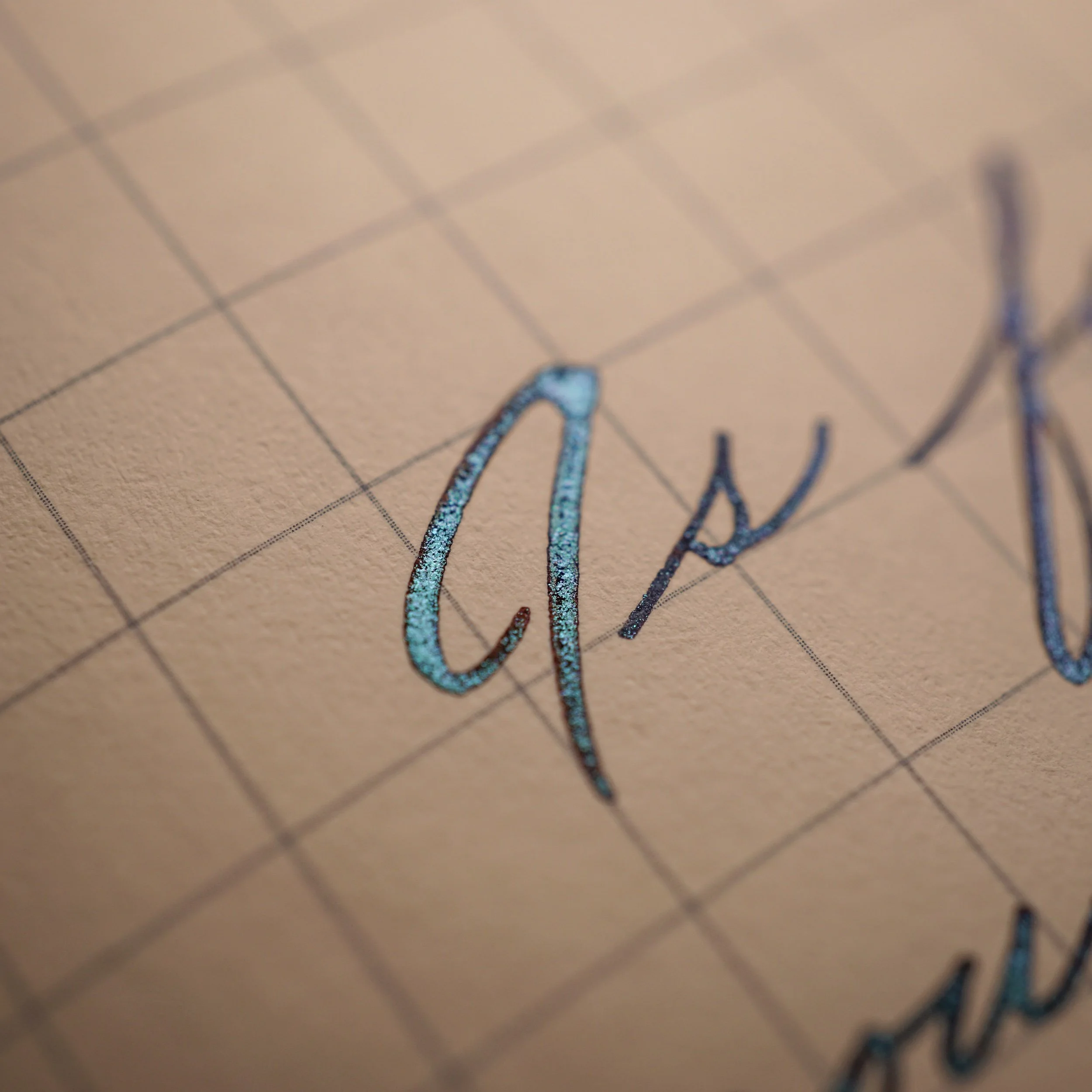 DSC08276.jpeg