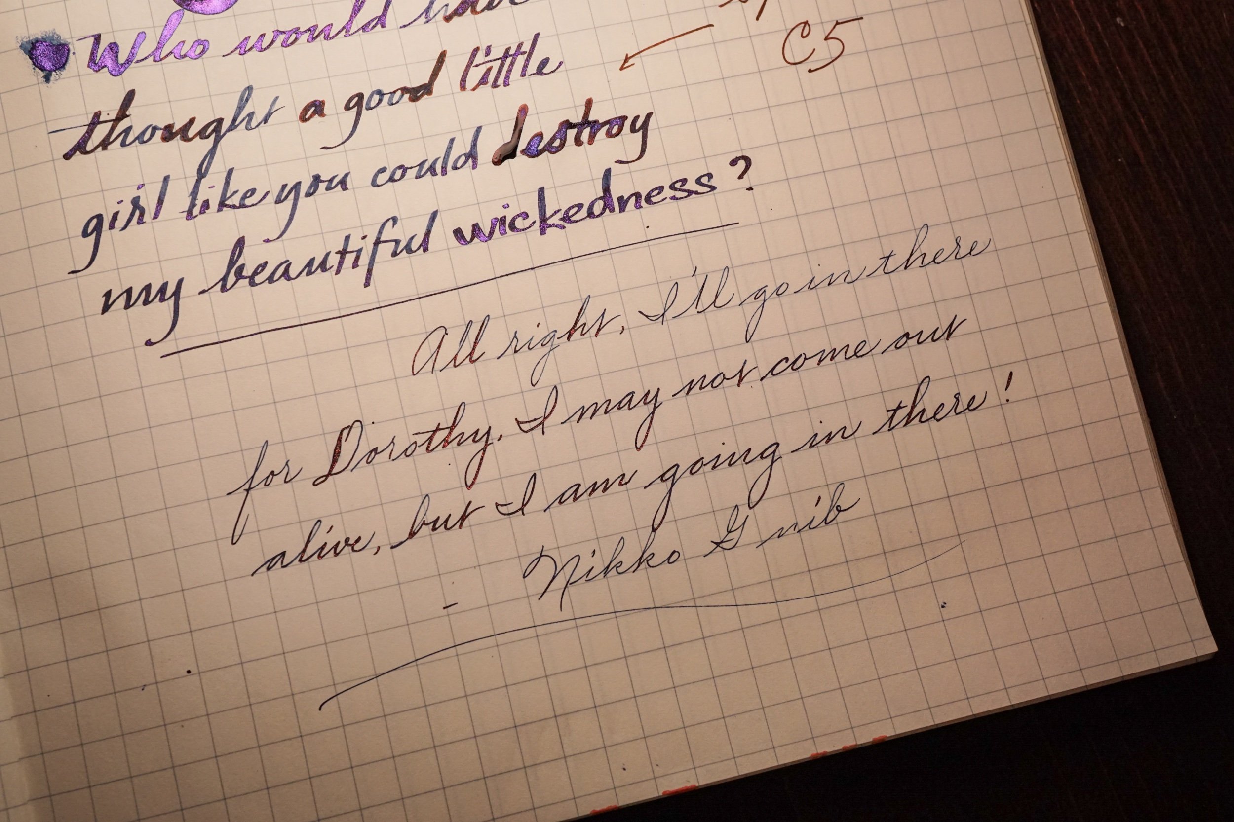 DSC08275.jpeg