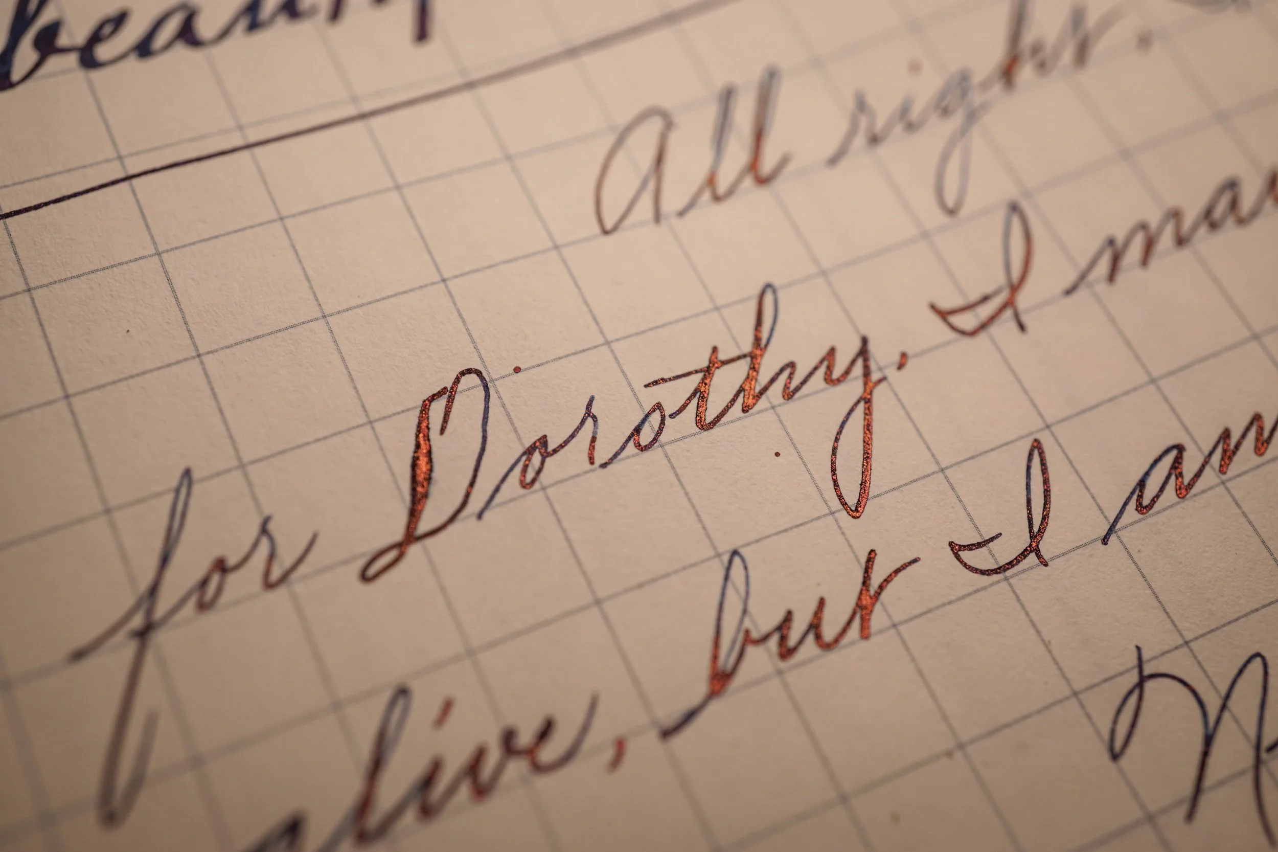 DSC08281.jpeg
