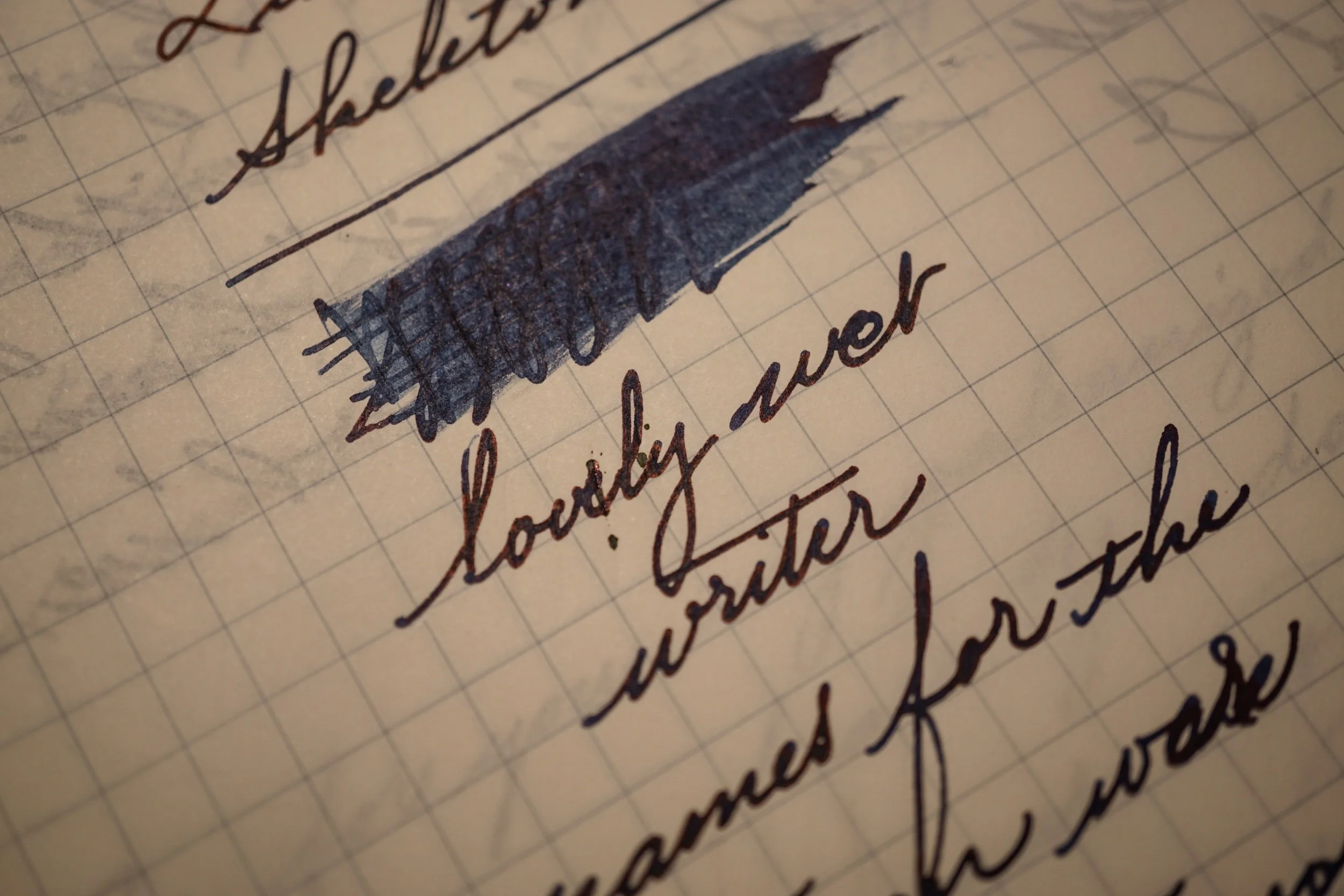 DSC08326.jpeg