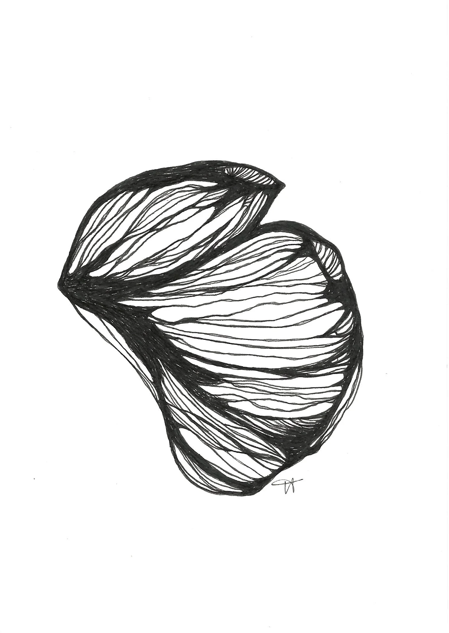 Fascicle, 2022
