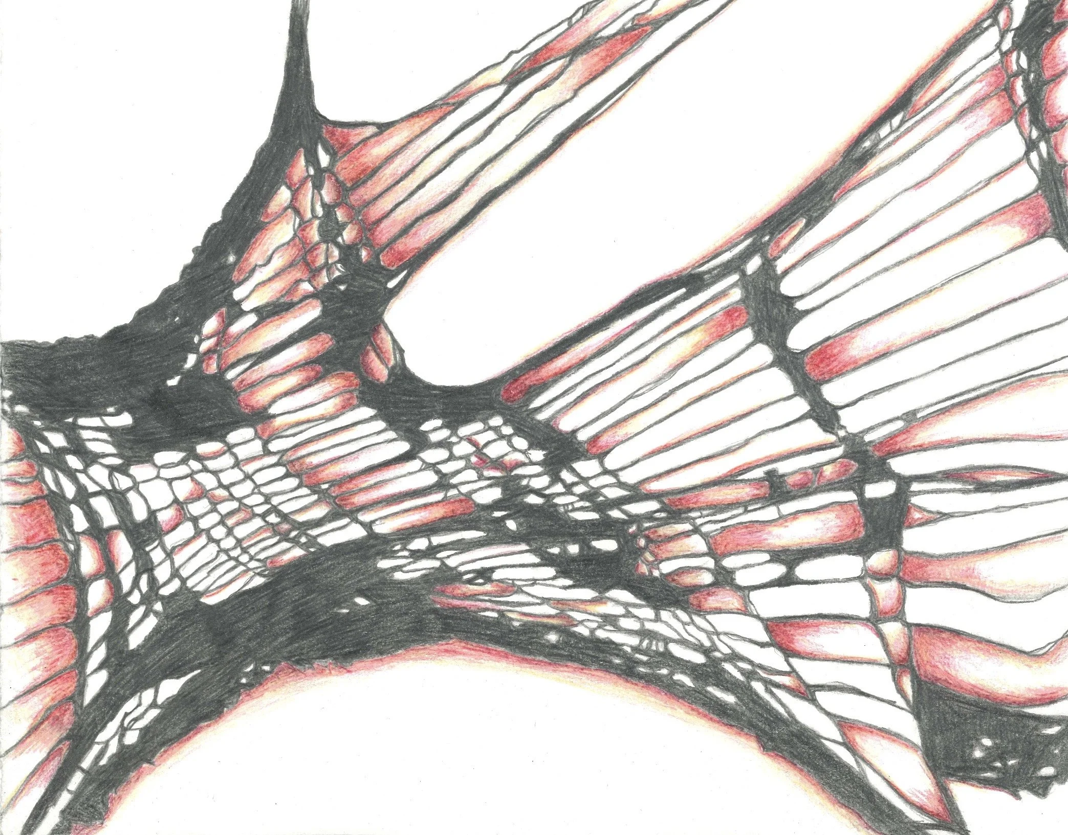 Graphite Drawing, 2017