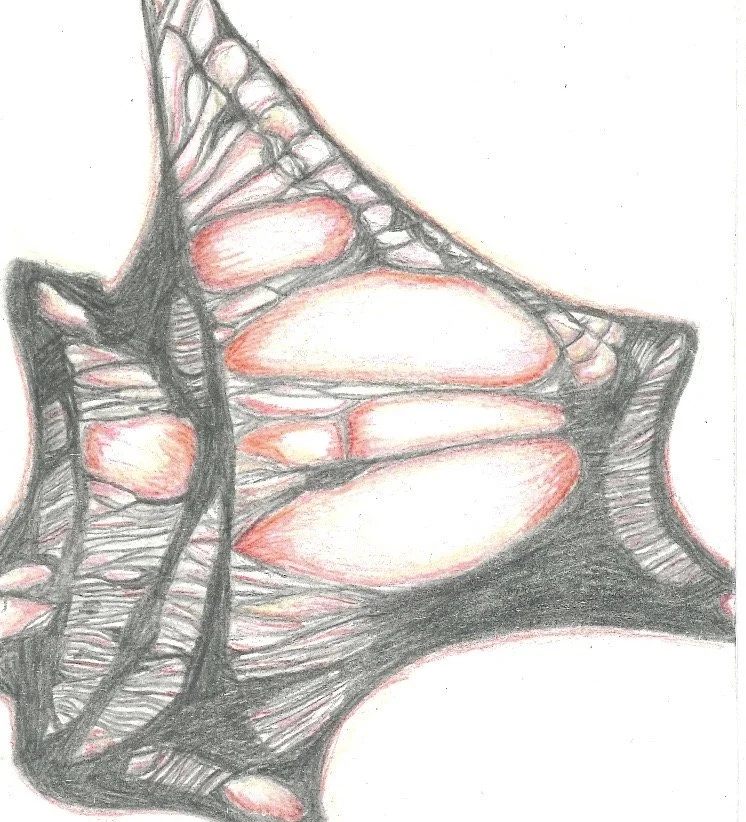 Graphite Drawing, 2017