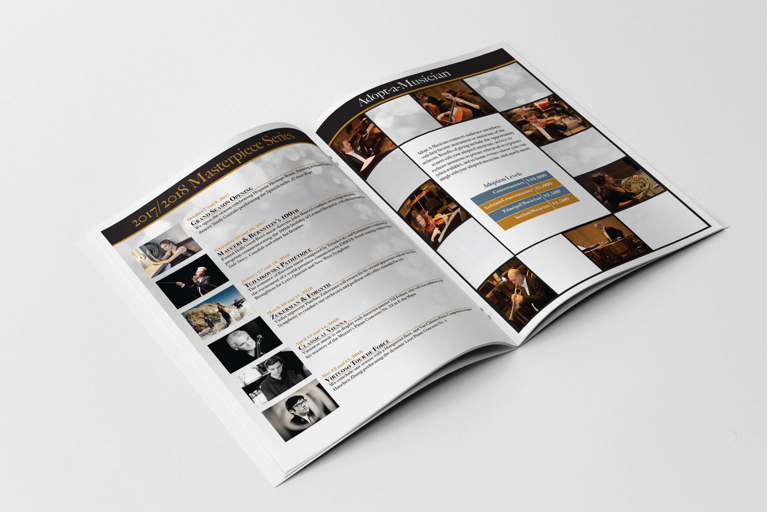 Concert Sponsorship 2.jpg