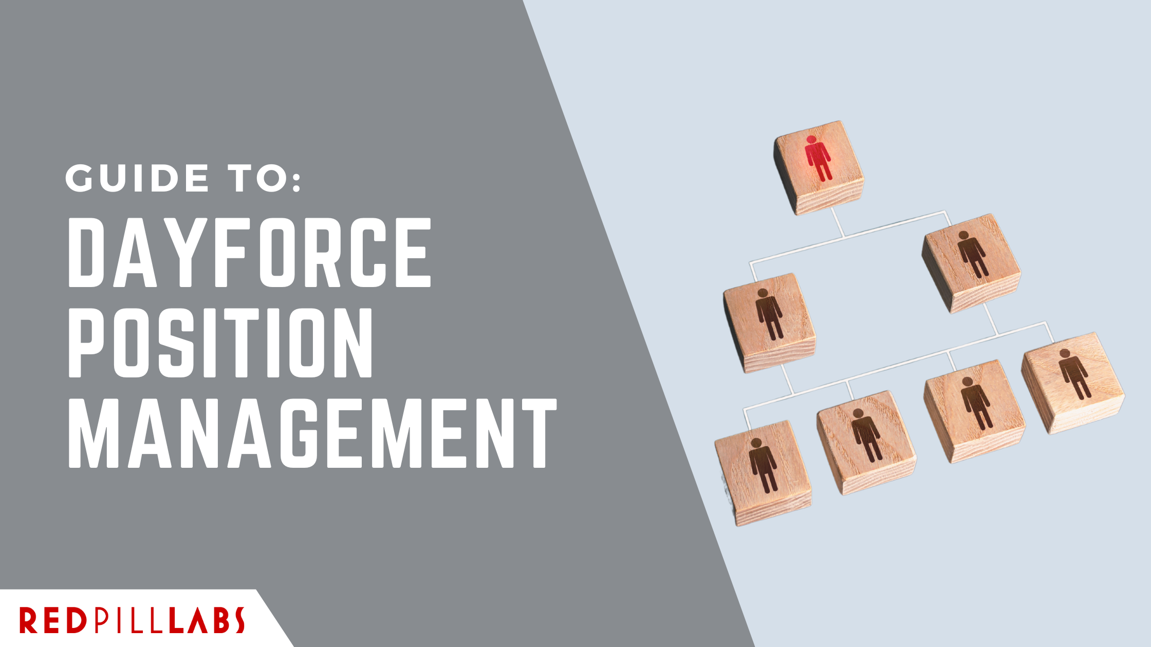 Guide to Dayforce Position Management — Red Pill Labs | Software ...