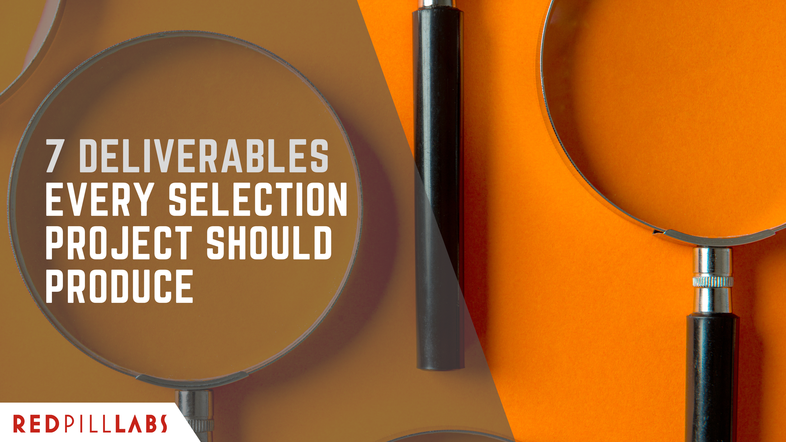 7 Deliverables Every Selection Project Should Produce