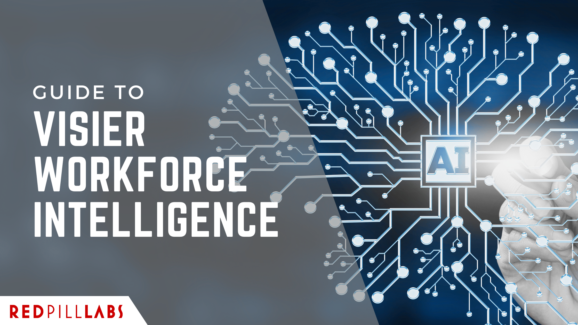 Guide to Visier Workforce Intelligence