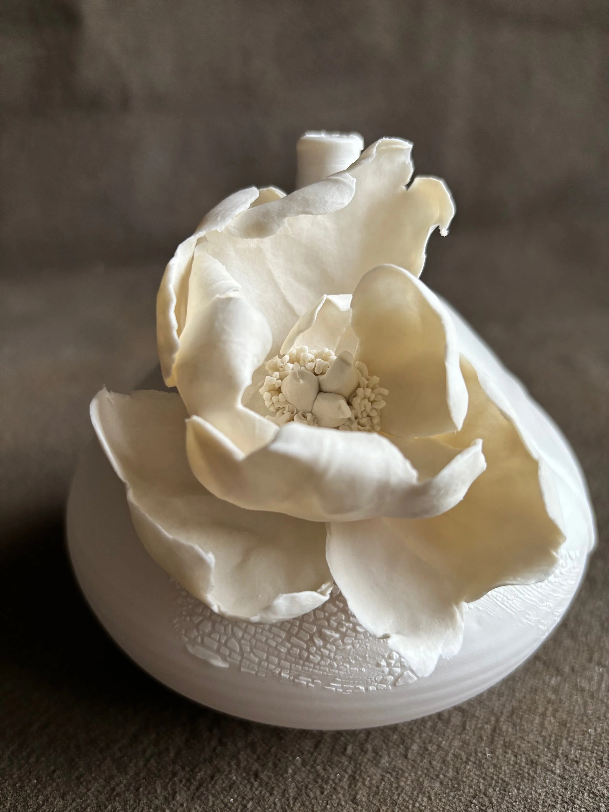 All Photos - 1 of 1 (3).jpeg