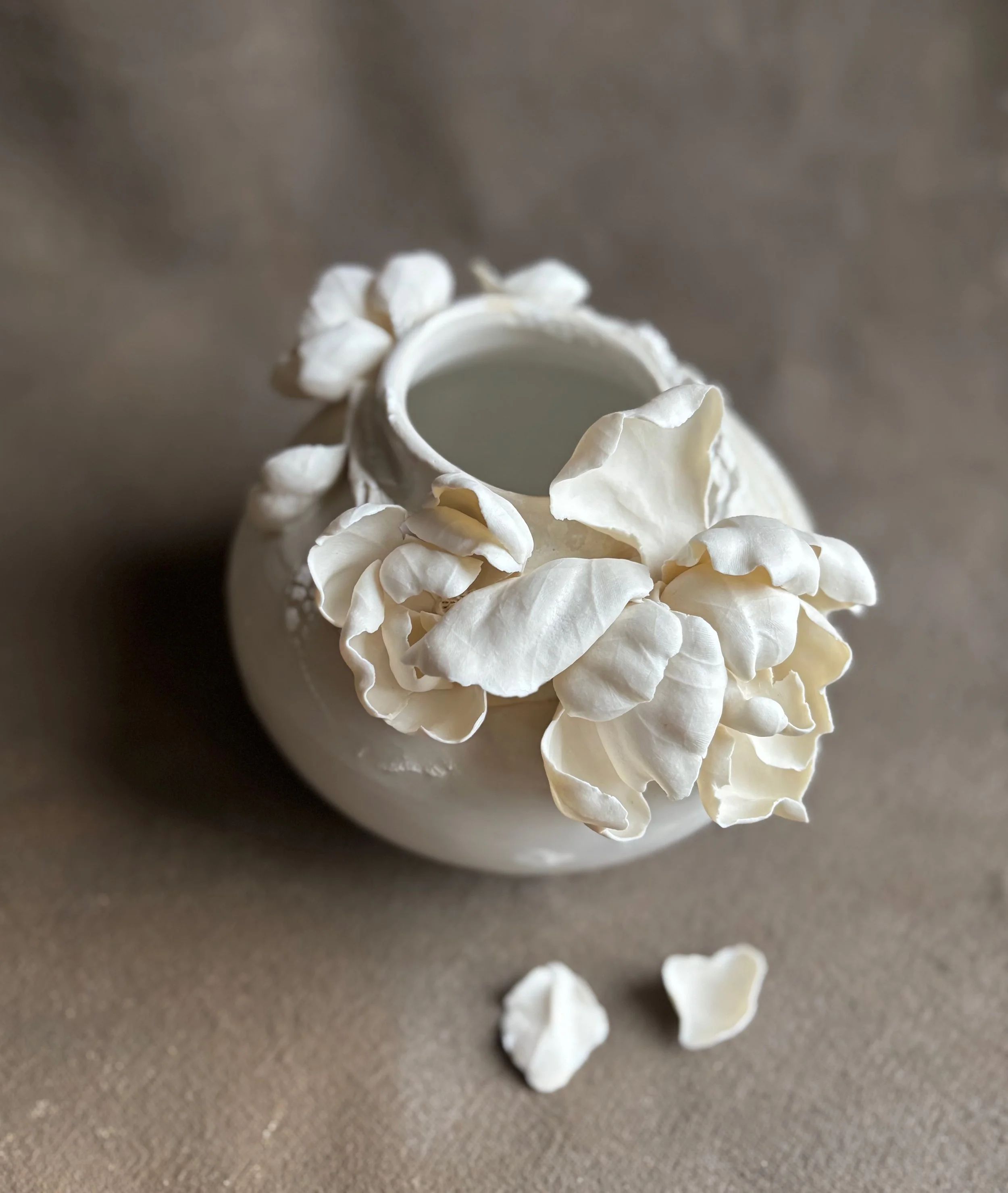 Recents - 1 of 1 (7).jpeg