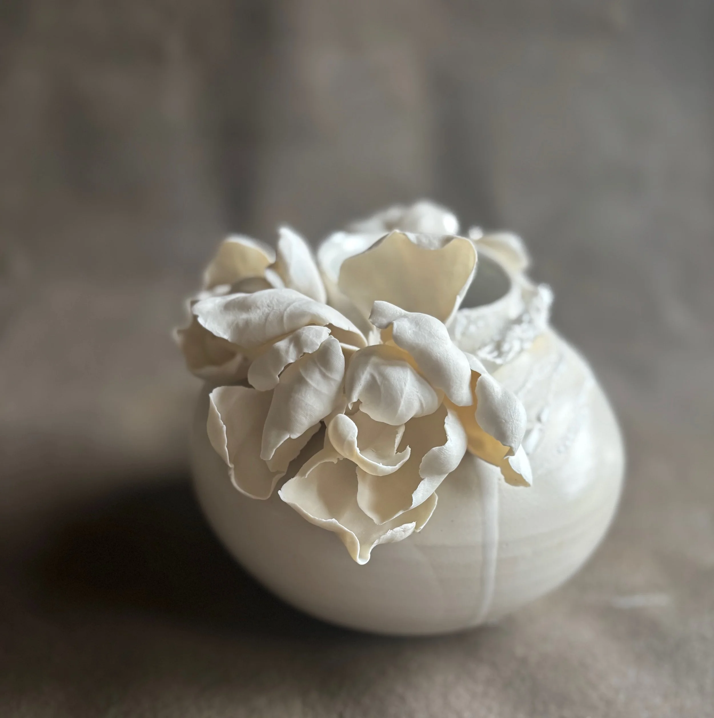 All Photos - 1 of 1 (58).jpeg