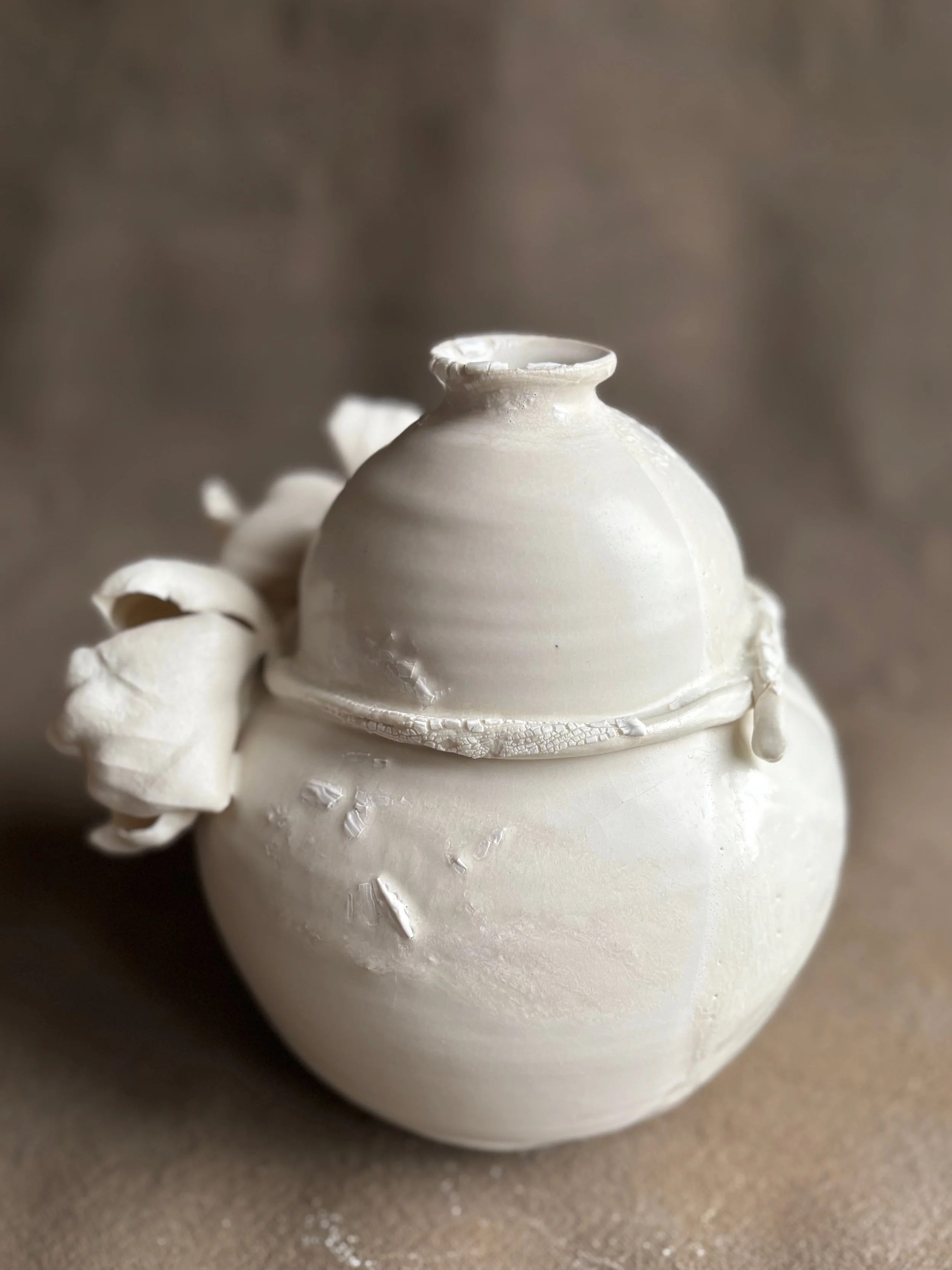 All Photos - 1 of 1 (64).jpeg