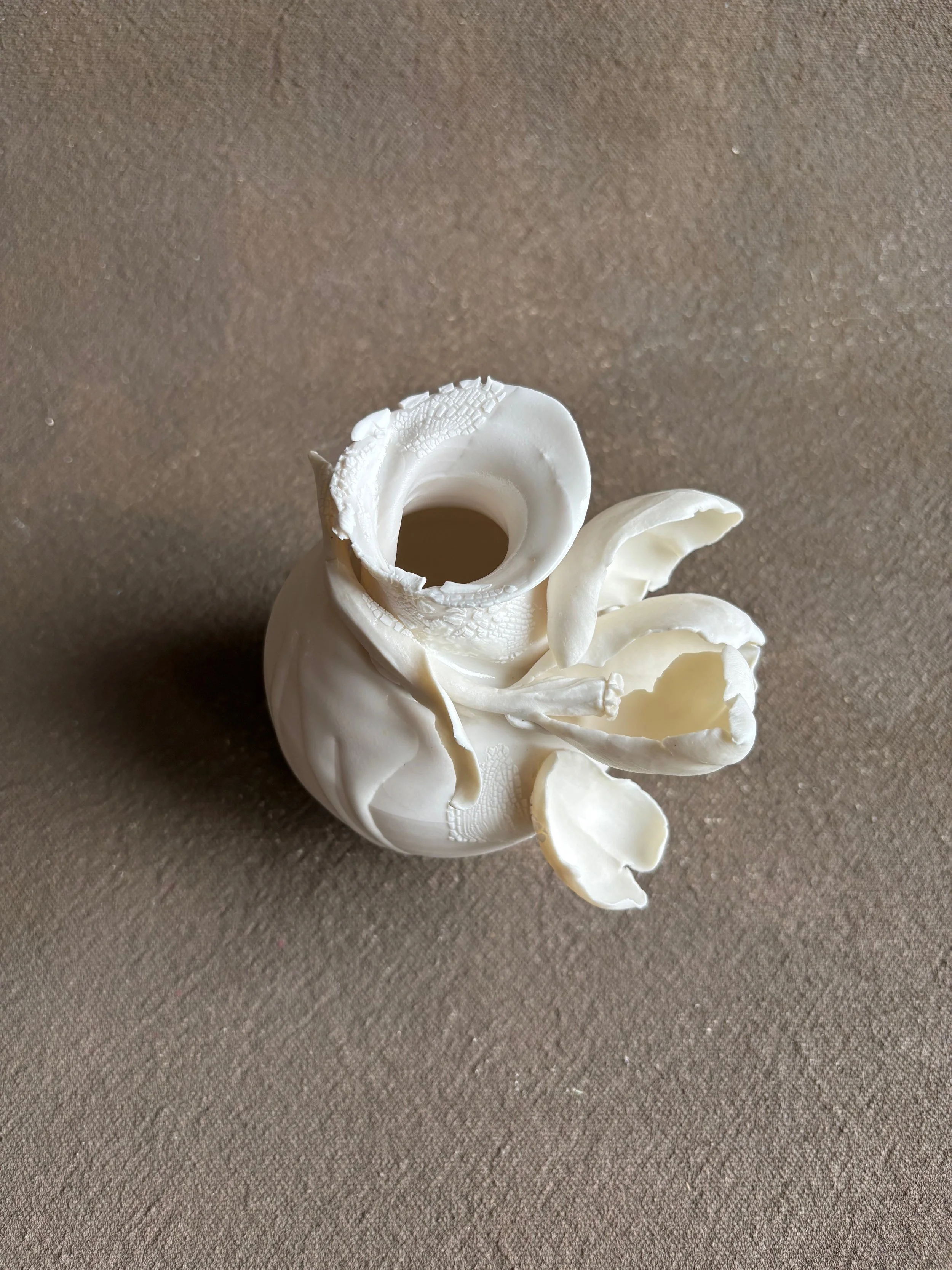 Yesterday - 1 of 1 (57).jpeg